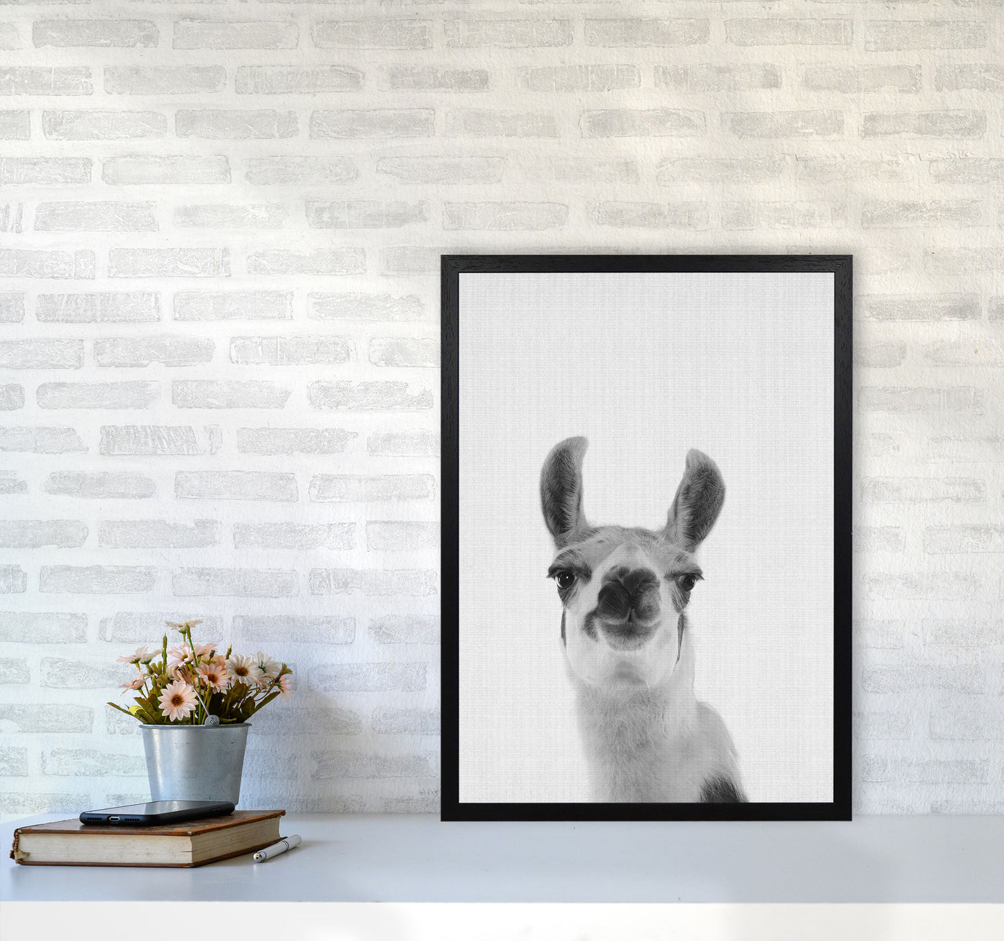 Llama Art Print by Jason Stanley A2 White Frame