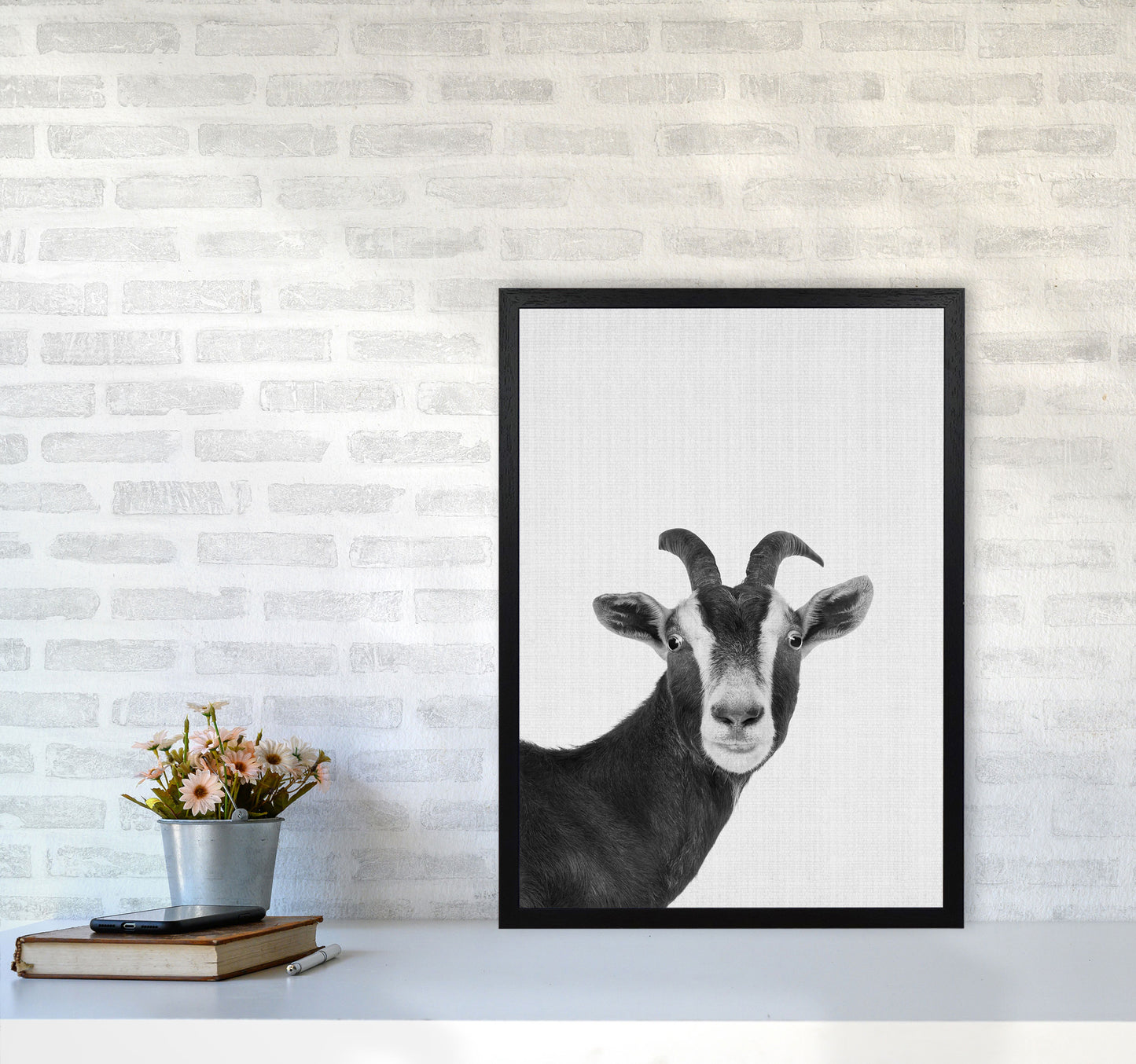 Surprised Goat Art Print by Jason Stanley A2 White Frame