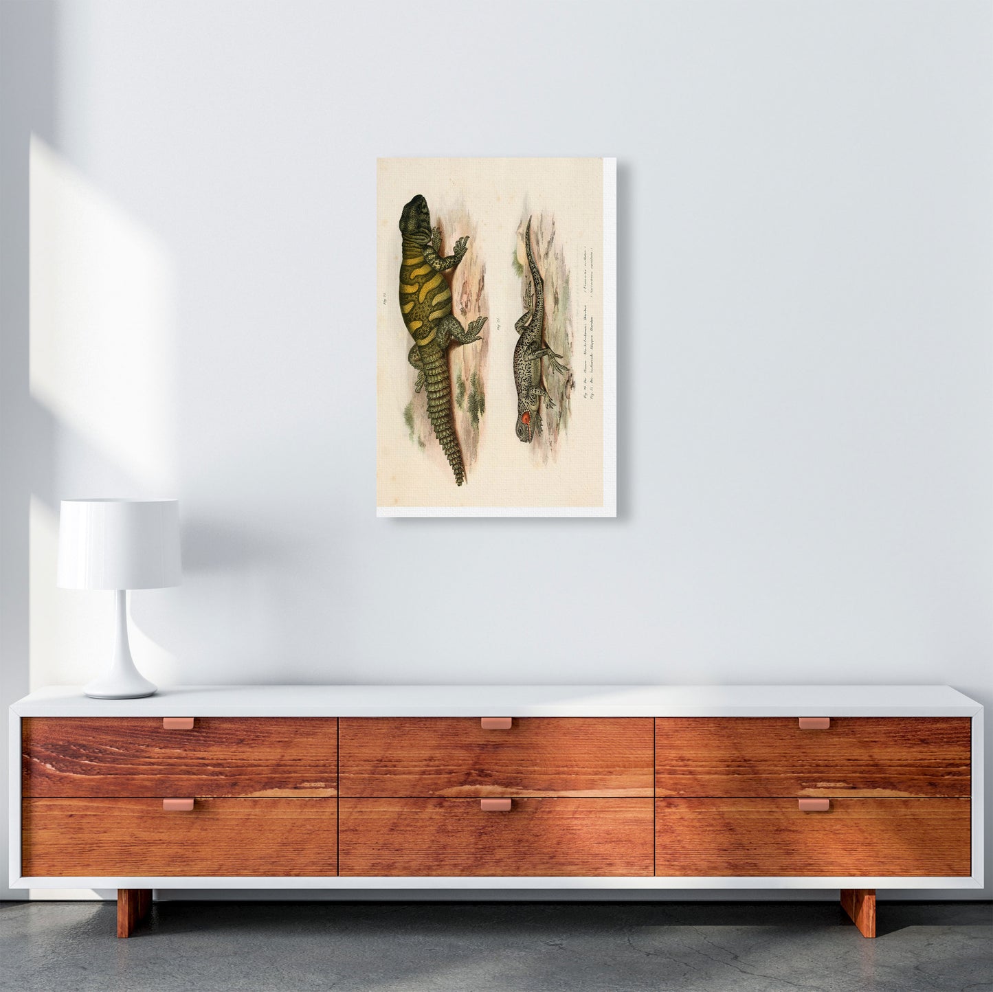 Vintage Lizard Illustration Art Print by Jason Stanley A2 Canvas