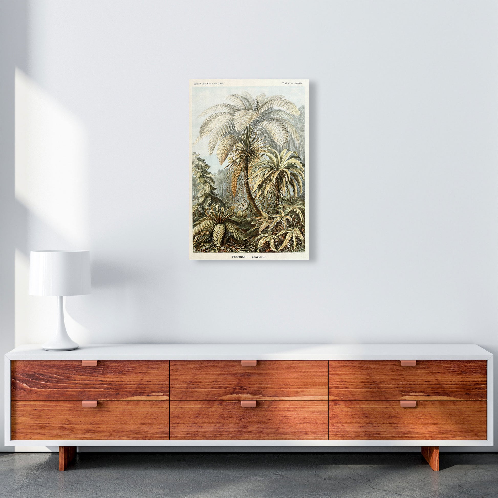 Vintage Jungle Illustration Art Print by Jason Stanley A2 Canvas