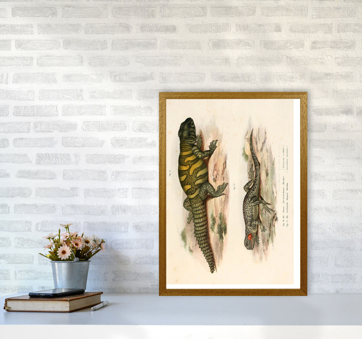 Vintage Lizard Illustration Art Print by Jason Stanley A2 Print Only
