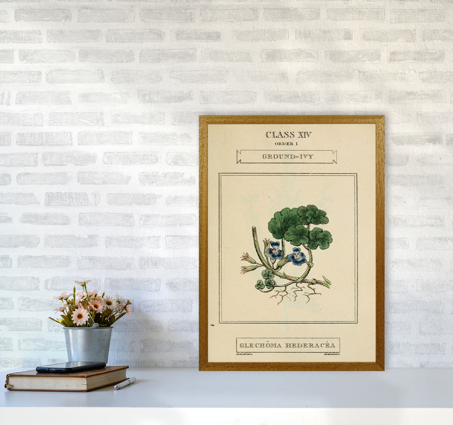 Vintage Flower Series 8 Art Print by Jason Stanley A2 Print Only
