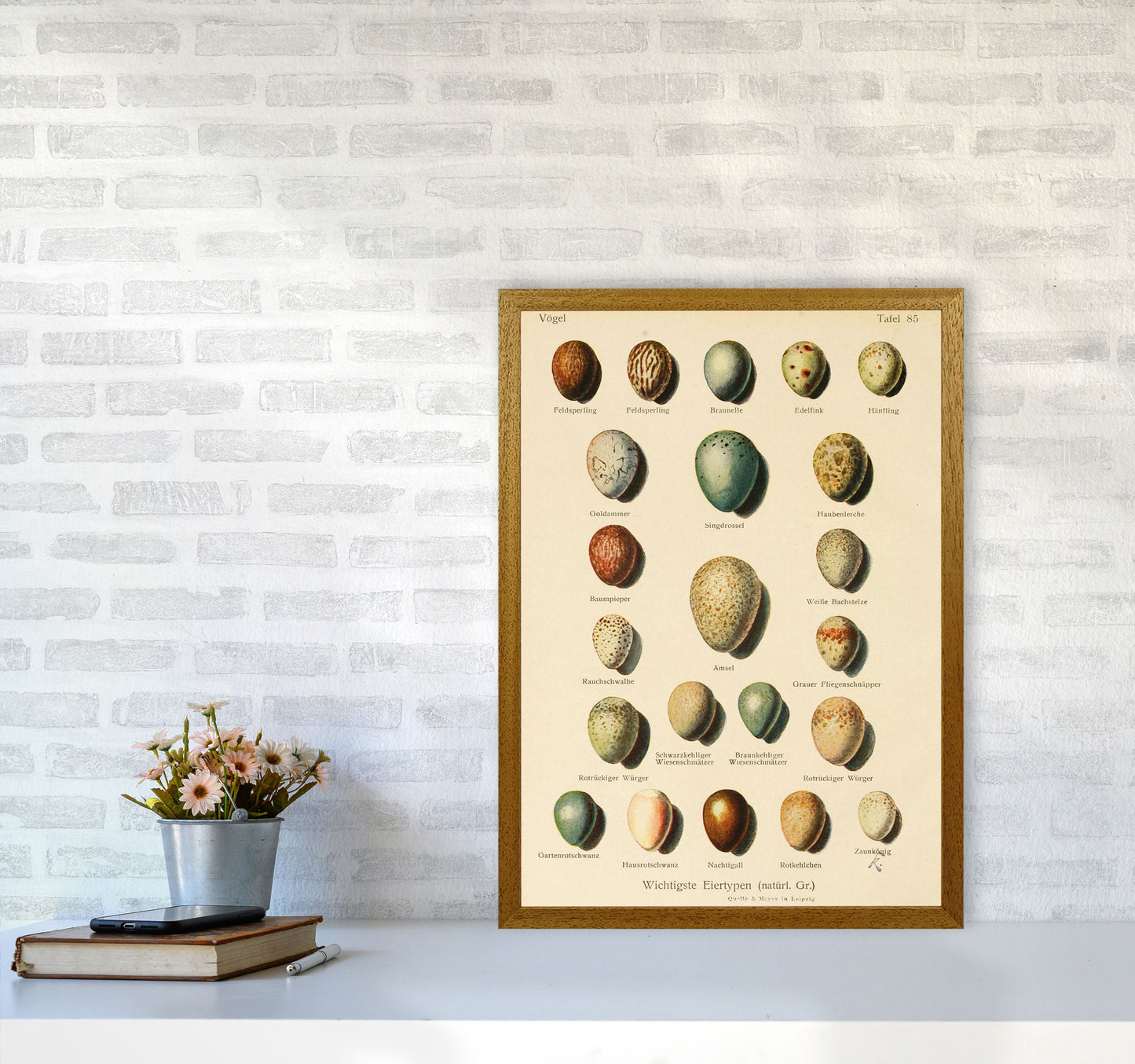Vintage Set Of Eggs Art Print by Jason Stanley A2 Print Only