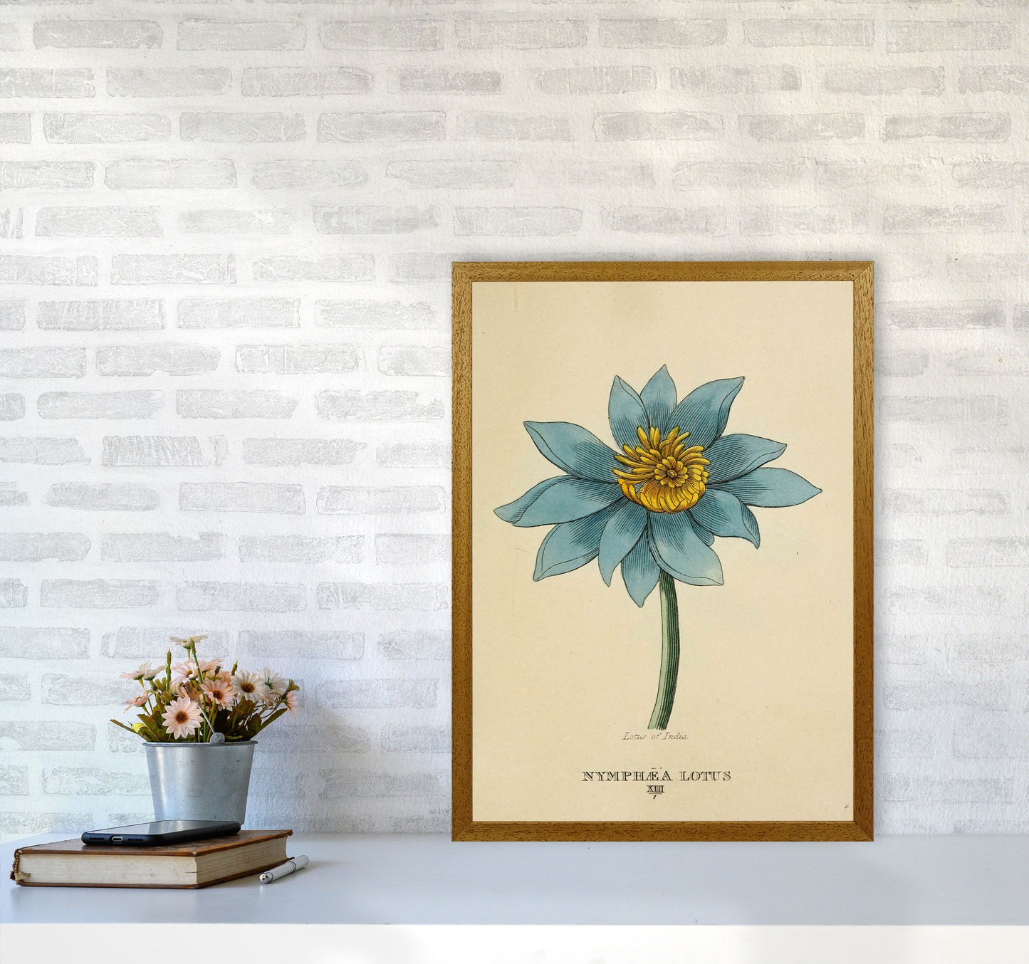 Vintage Lotus Flower Art Print by Jason Stanley A2 Print Only