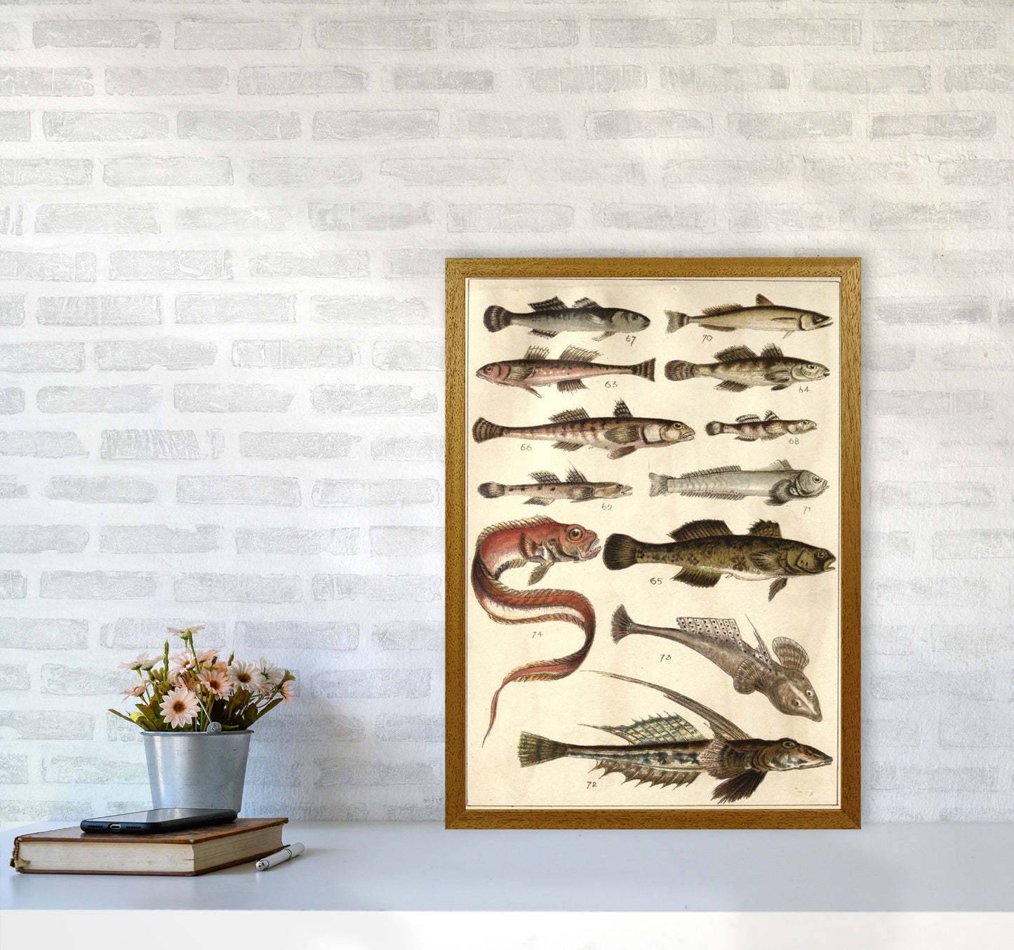 Creatures Of The Sea Art Print by Jason Stanley A2 Print Only