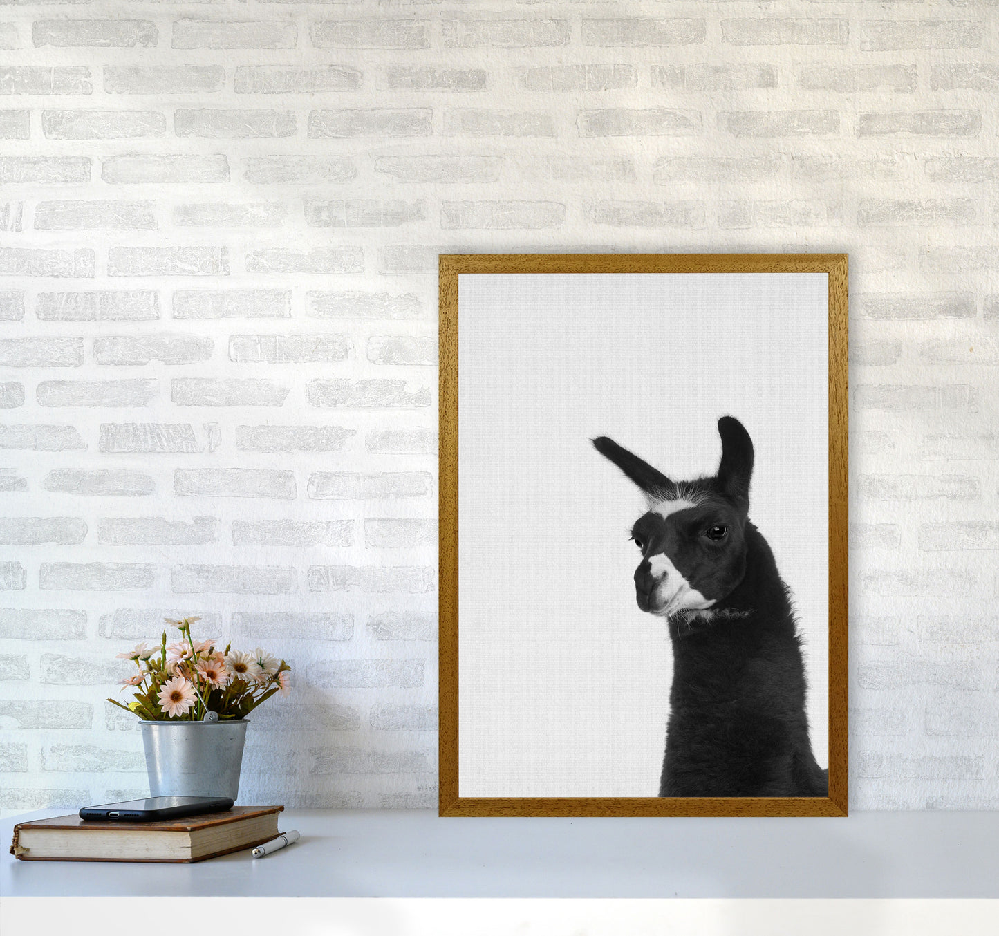 Llama #2 Art Print by Jason Stanley A2 Print Only