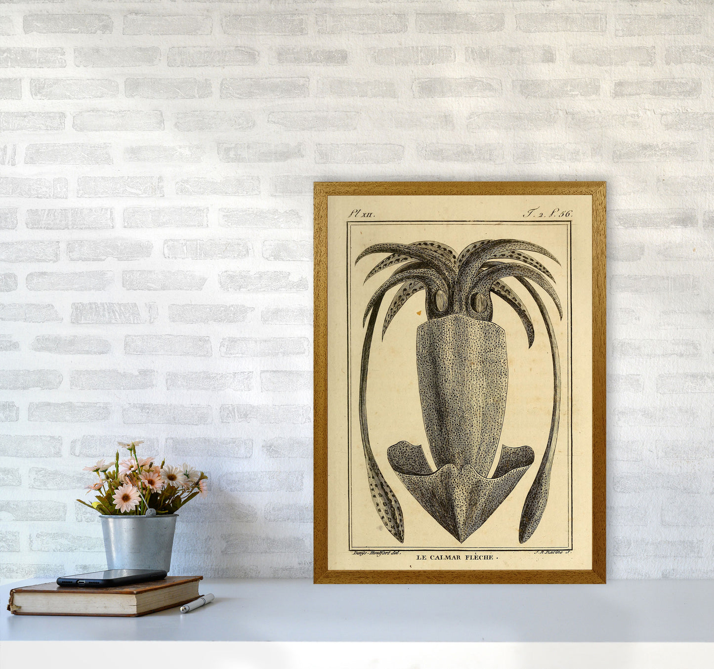 Vintage Squid 2 Art Print by Jason Stanley A2 Print Only