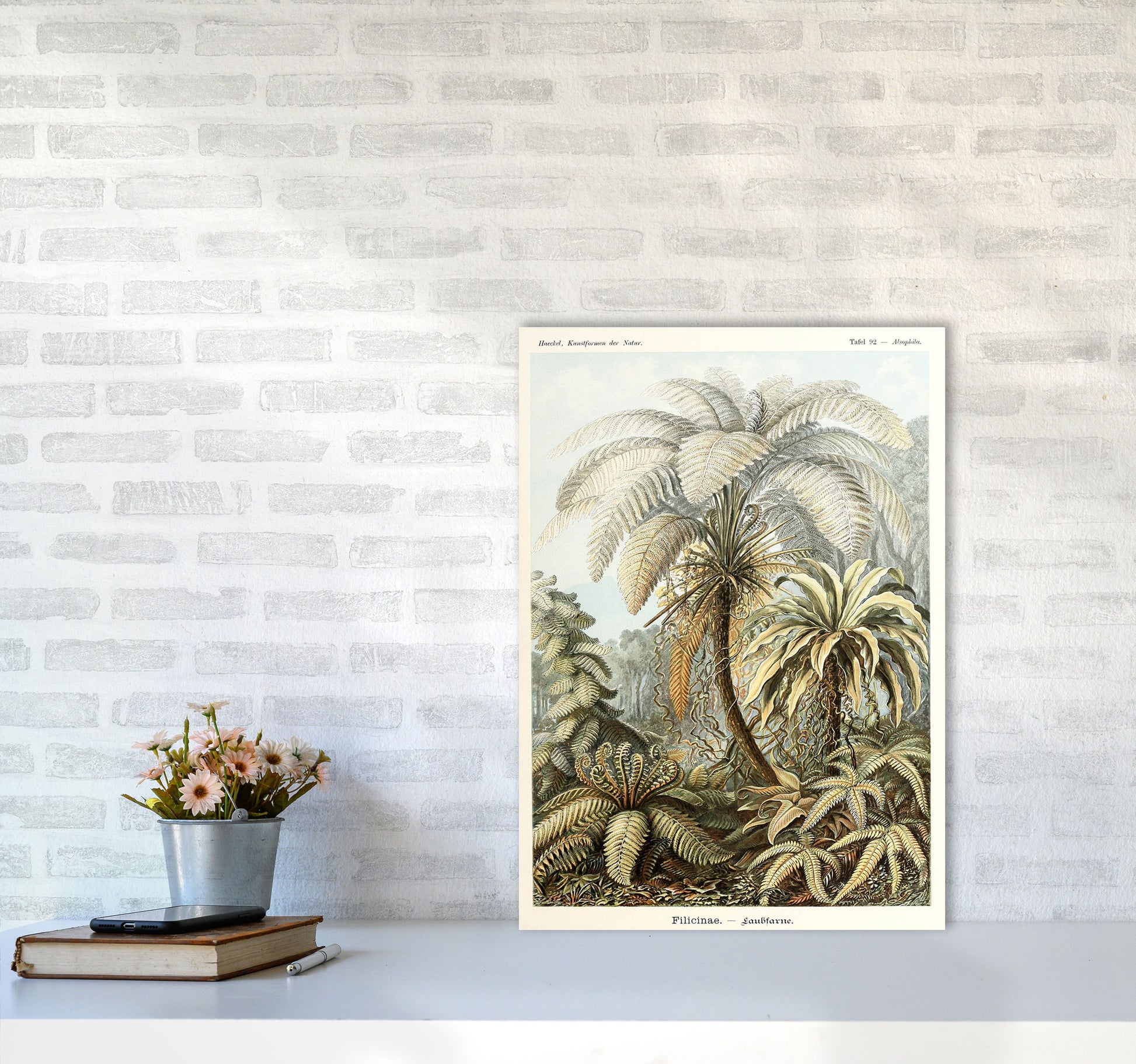 Vintage Jungle Illustration Art Print by Jason Stanley A2 Black Frame