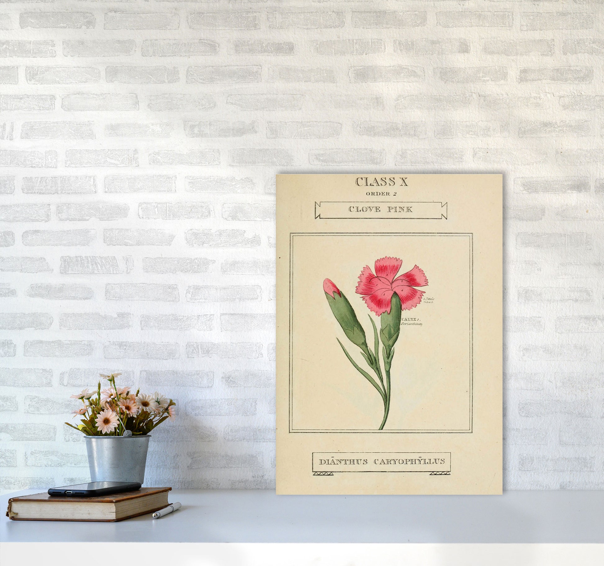 Vintage Flower Series 4 Art Print by Jason Stanley A2 Black Frame