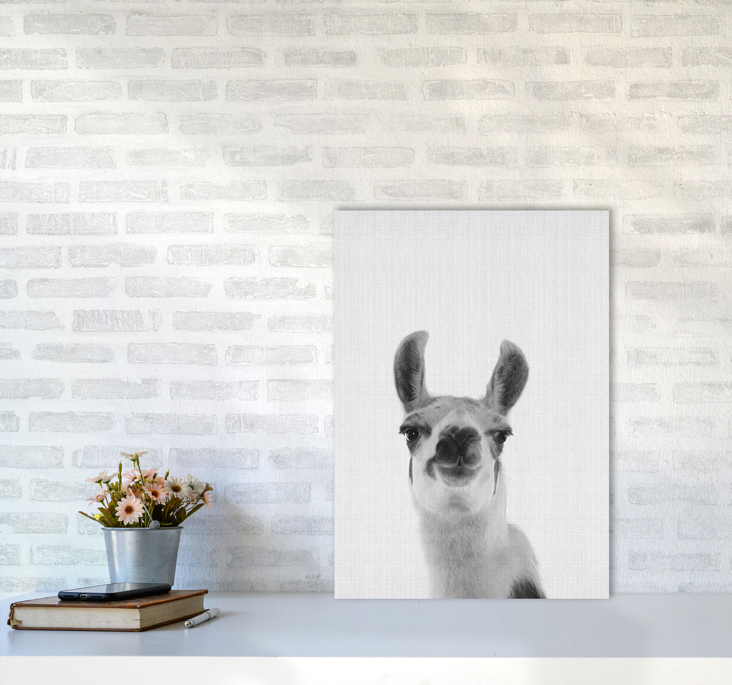 Llama Art Print by Jason Stanley A2 Black Frame