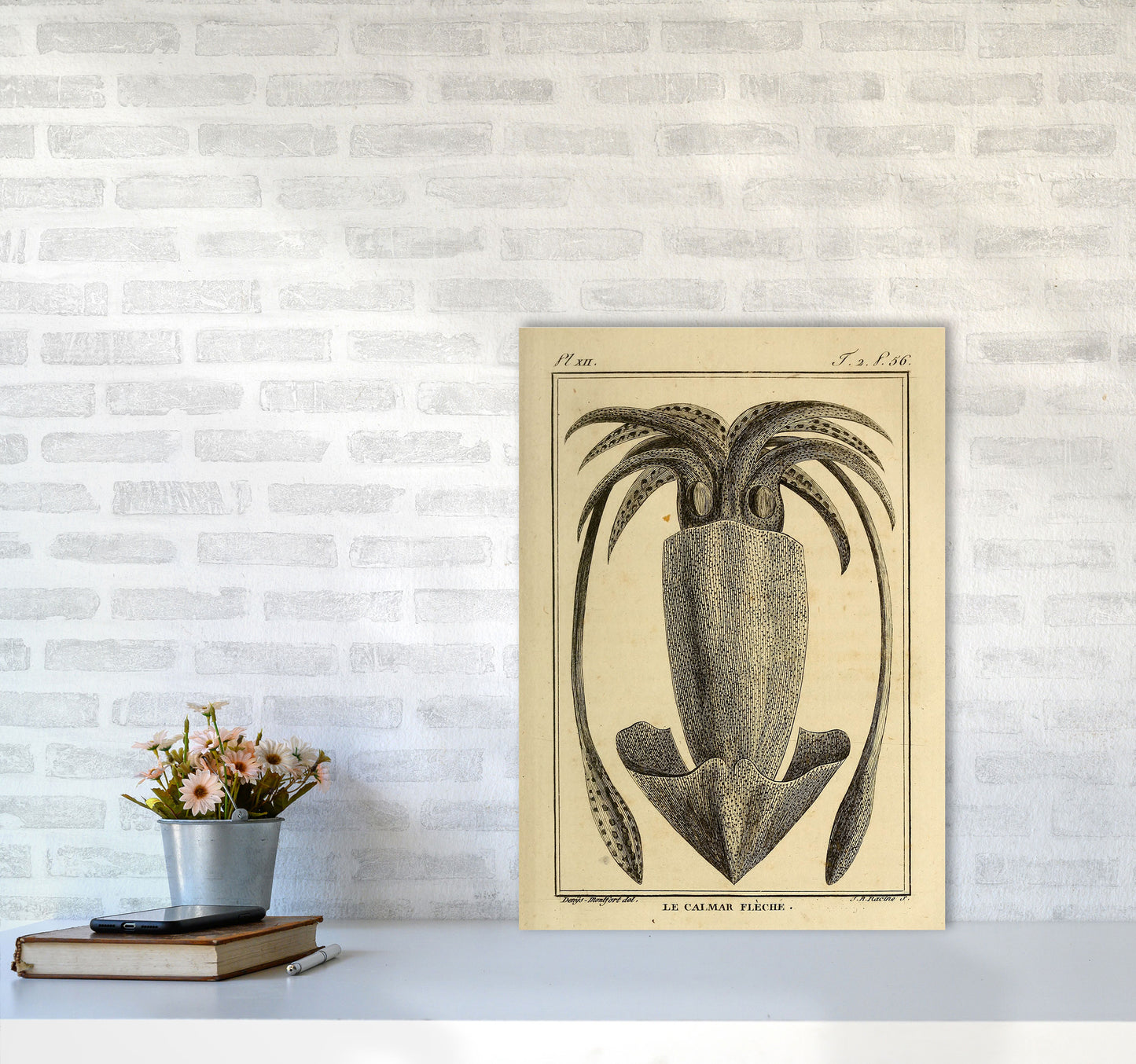 Vintage Squid 2 Art Print by Jason Stanley A2 Black Frame
