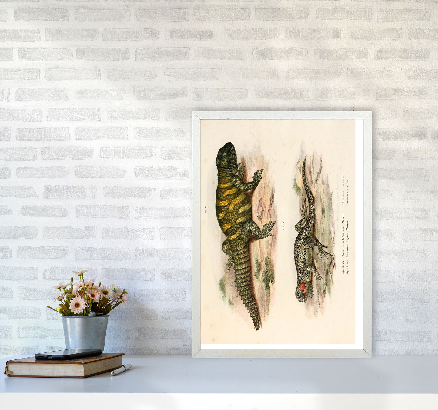 Vintage Lizard Illustration Art Print by Jason Stanley A2 Oak Frame