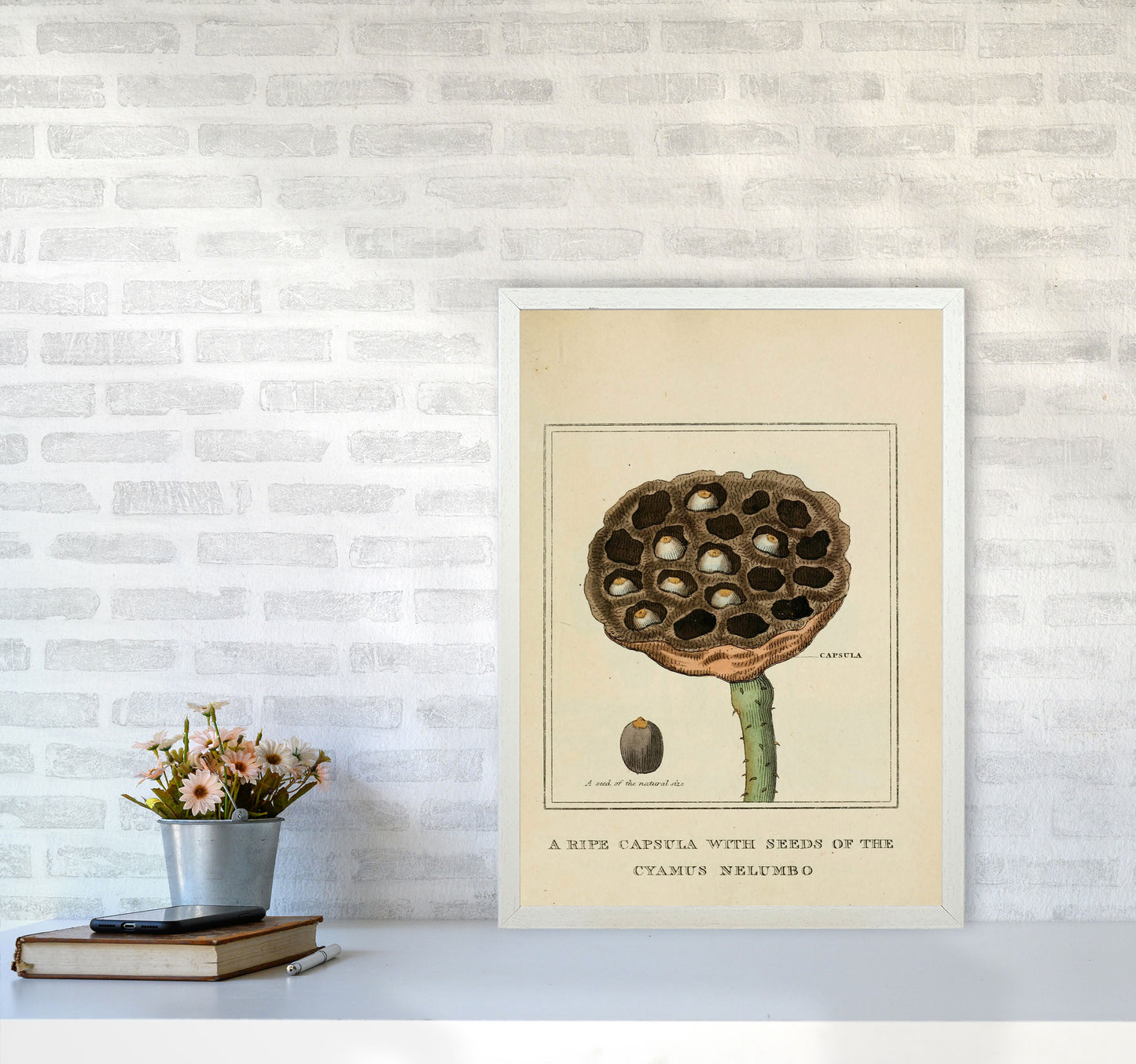 Vintage Flower Series 3 Art Print by Jason Stanley A2 Oak Frame