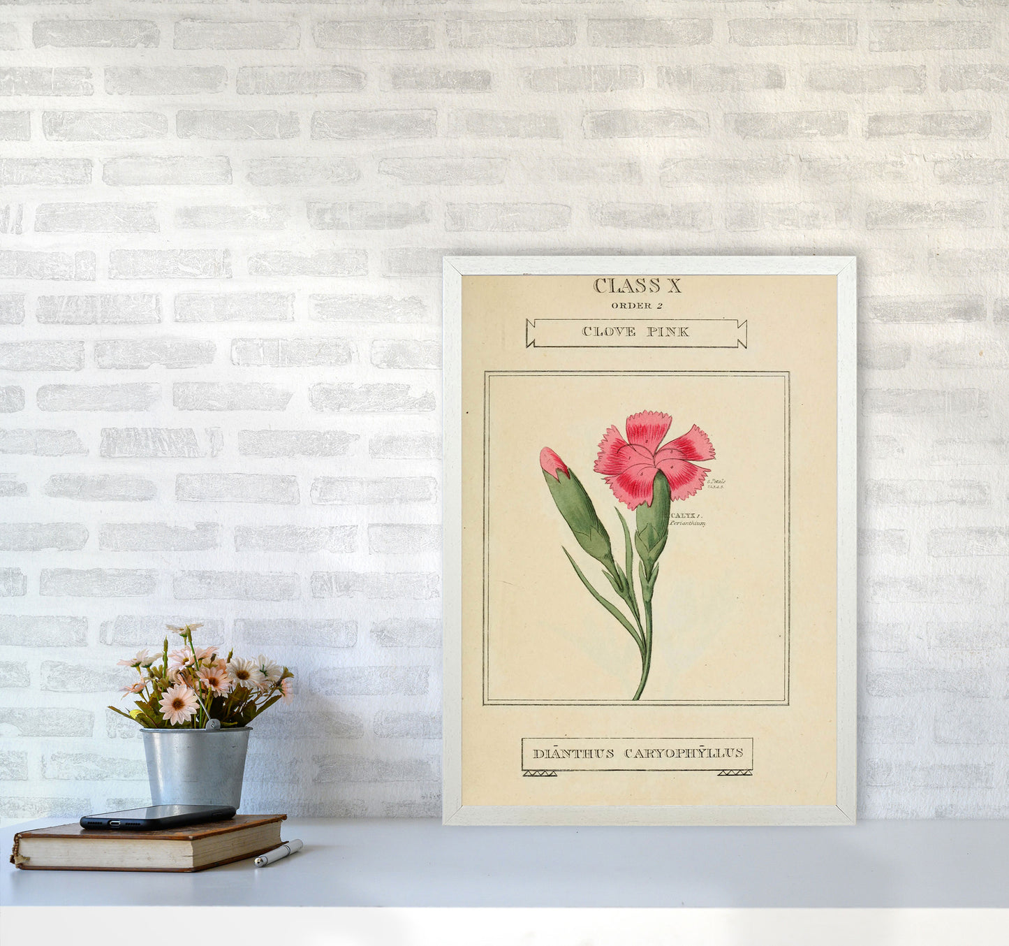 Vintage Flower Series 4 Art Print by Jason Stanley A2 Oak Frame