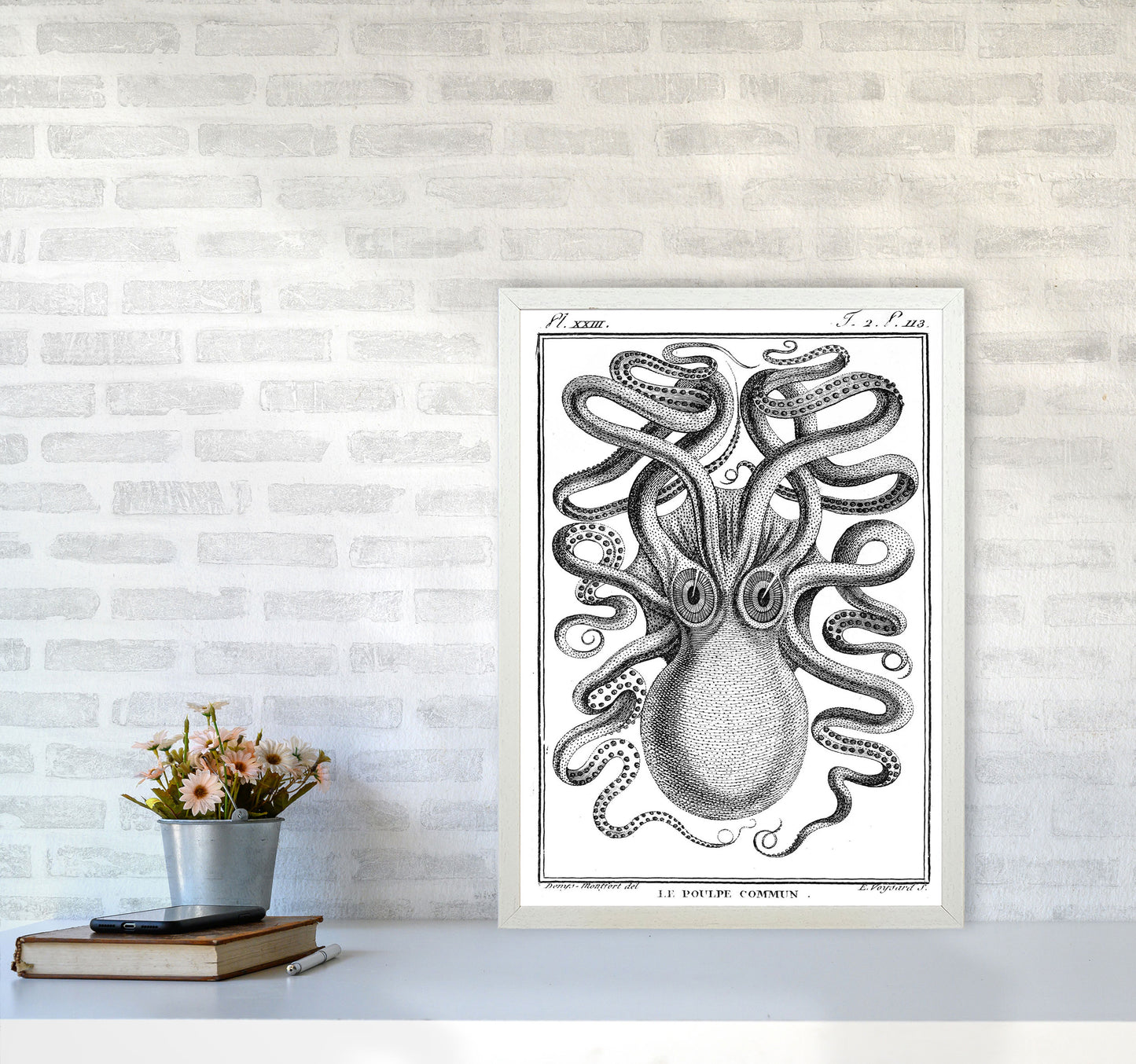 White Vintage Octopus Art Print by Jason Stanley A2 Oak Frame