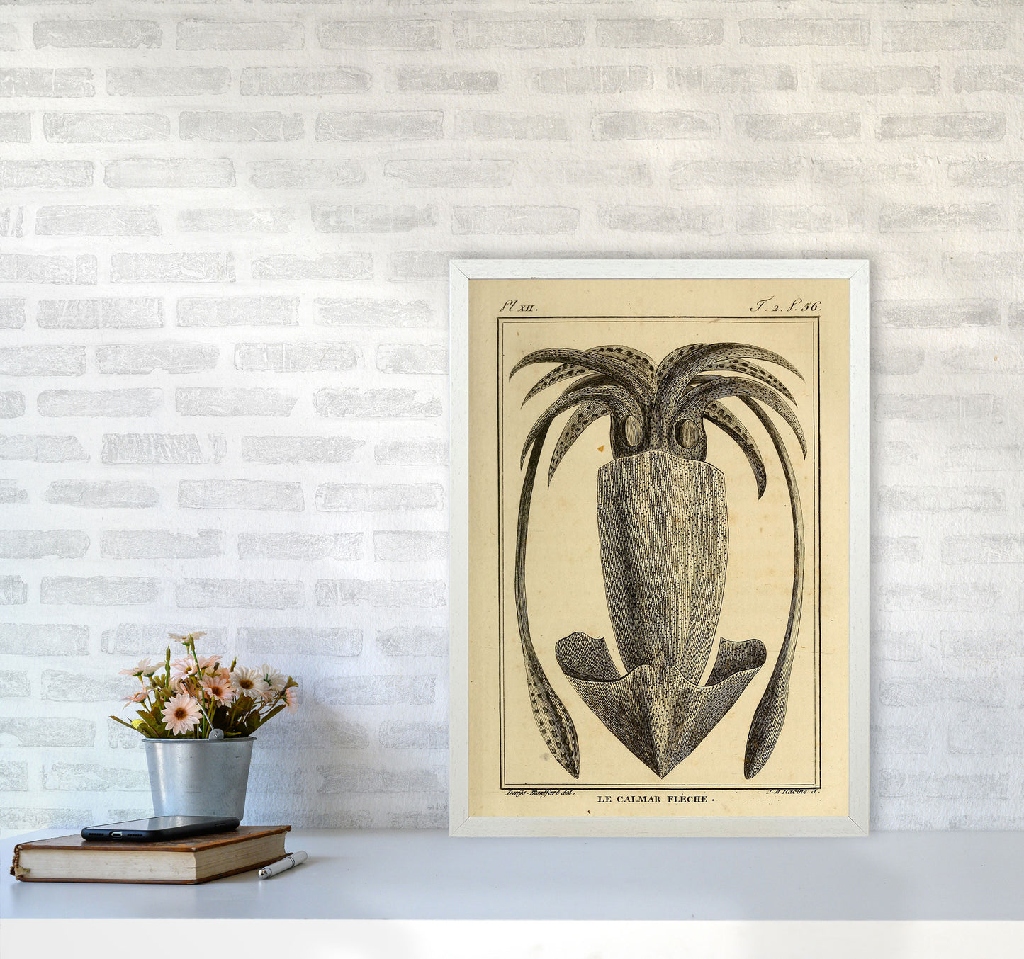 Vintage Squid 2 Art Print by Jason Stanley A2 Oak Frame
