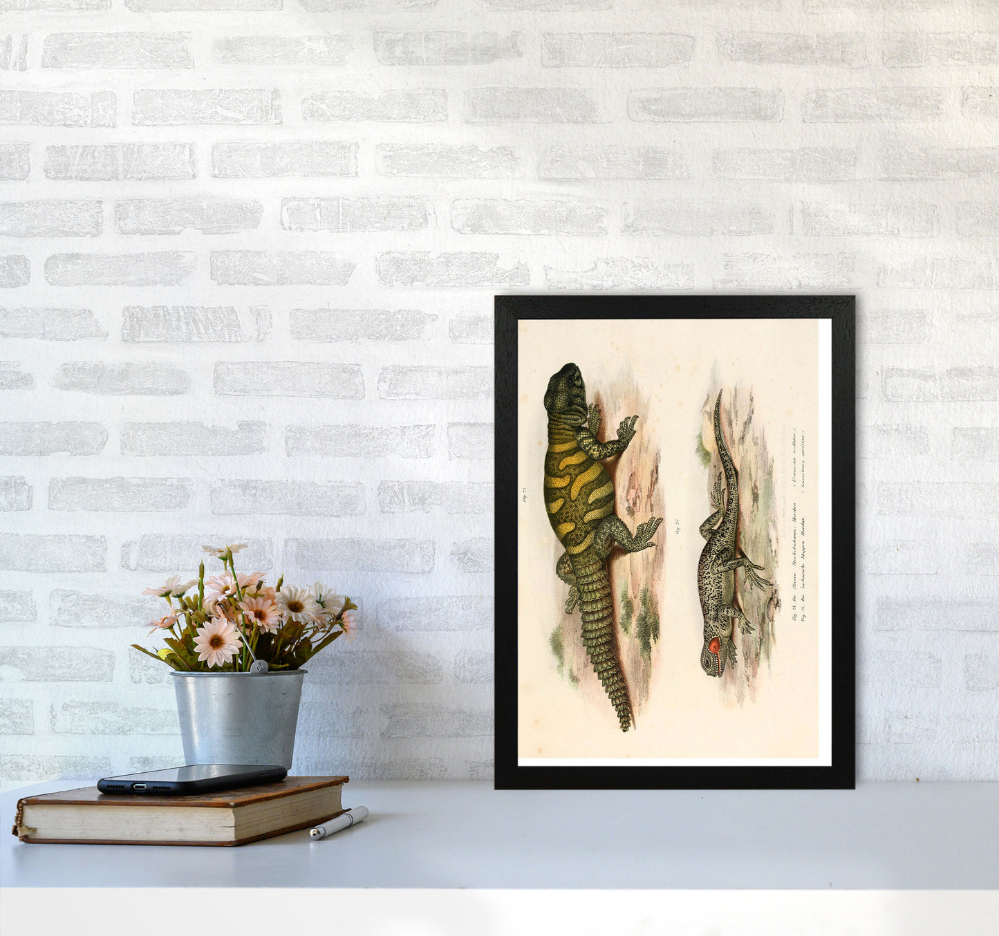 Vintage Lizard Illustration Art Print by Jason Stanley A3 White Frame