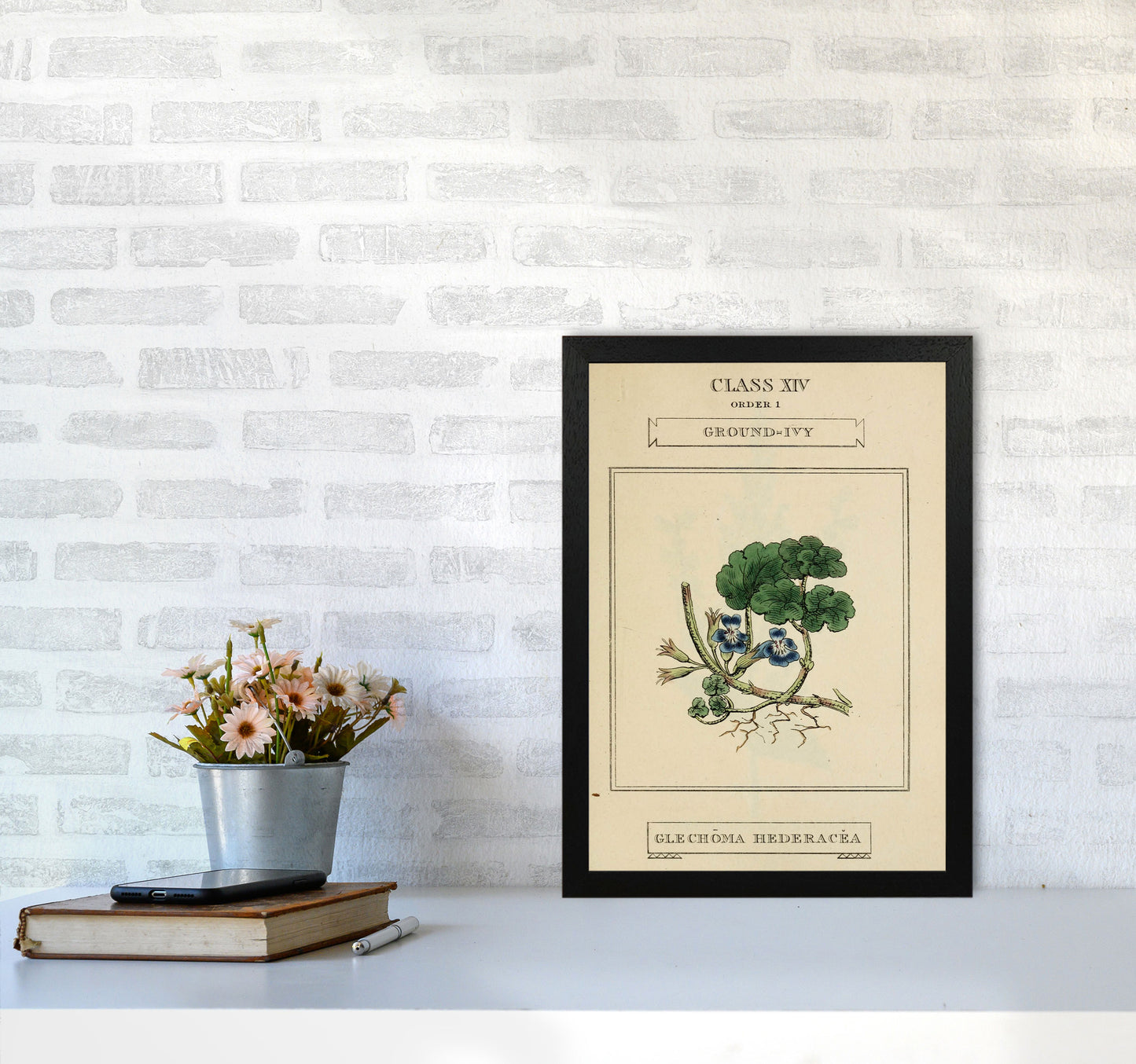 Vintage Flower Series 8 Art Print by Jason Stanley A3 White Frame