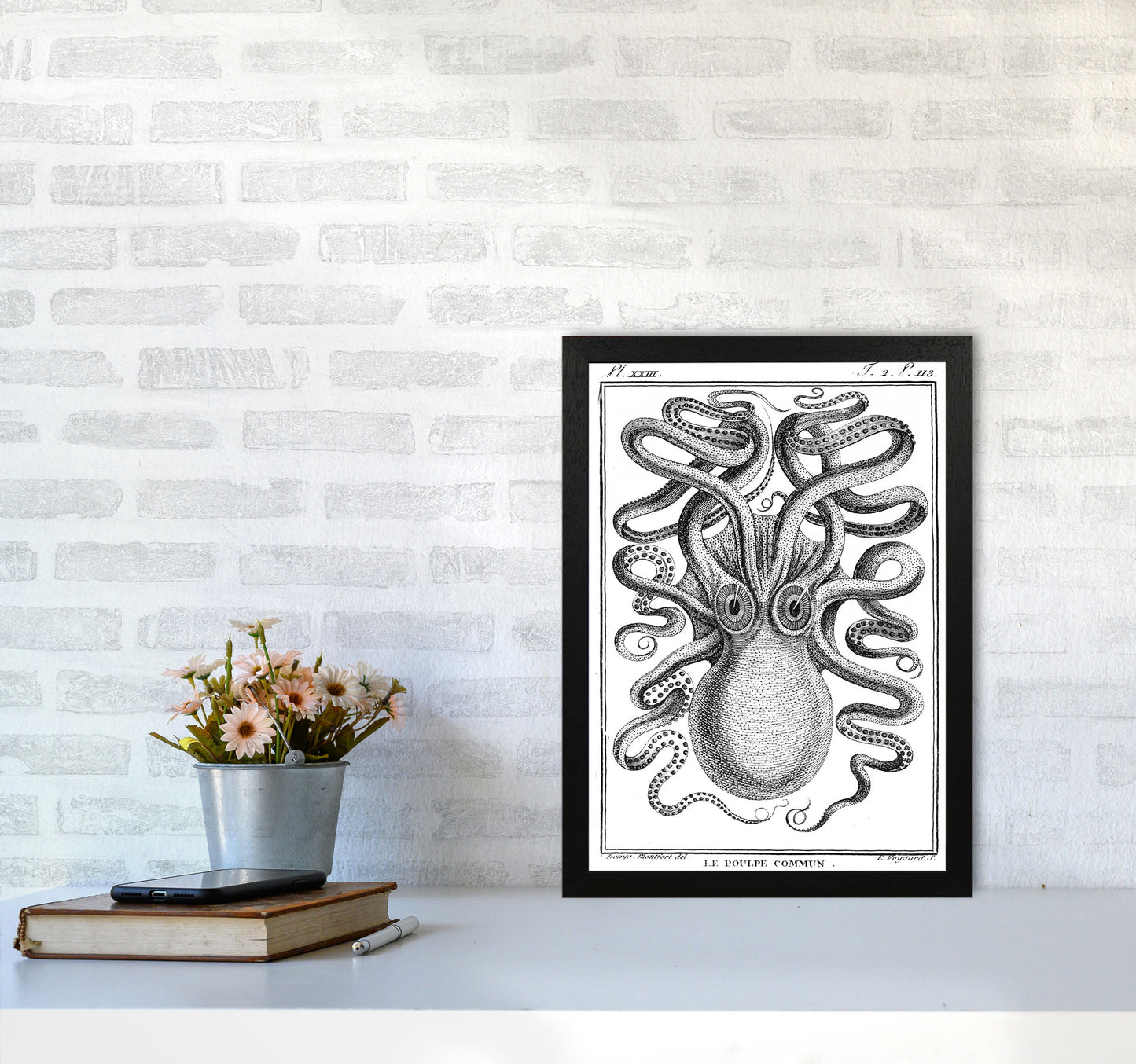 White Vintage Octopus Art Print by Jason Stanley A3 White Frame