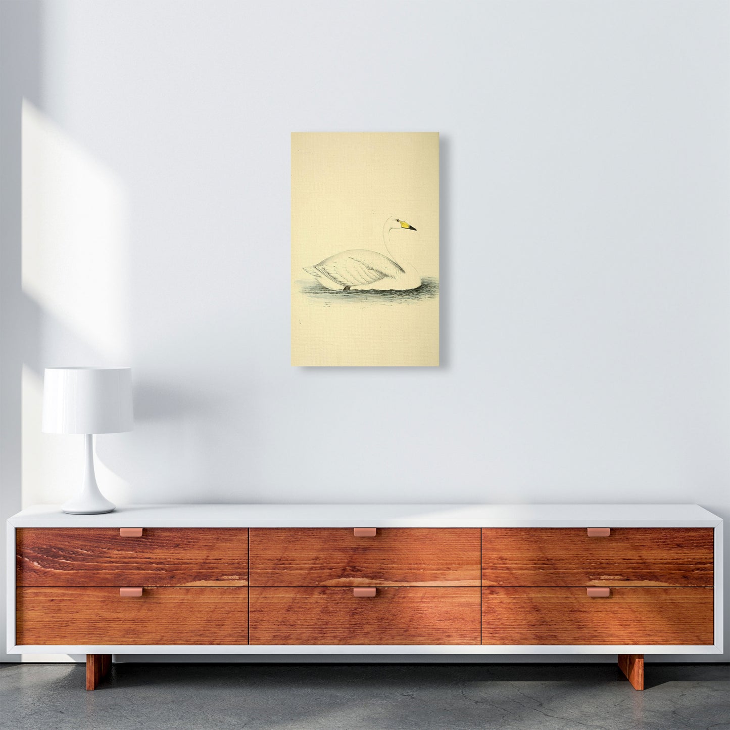 Vintage Swan Art Print by Jason Stanley A3 Canvas