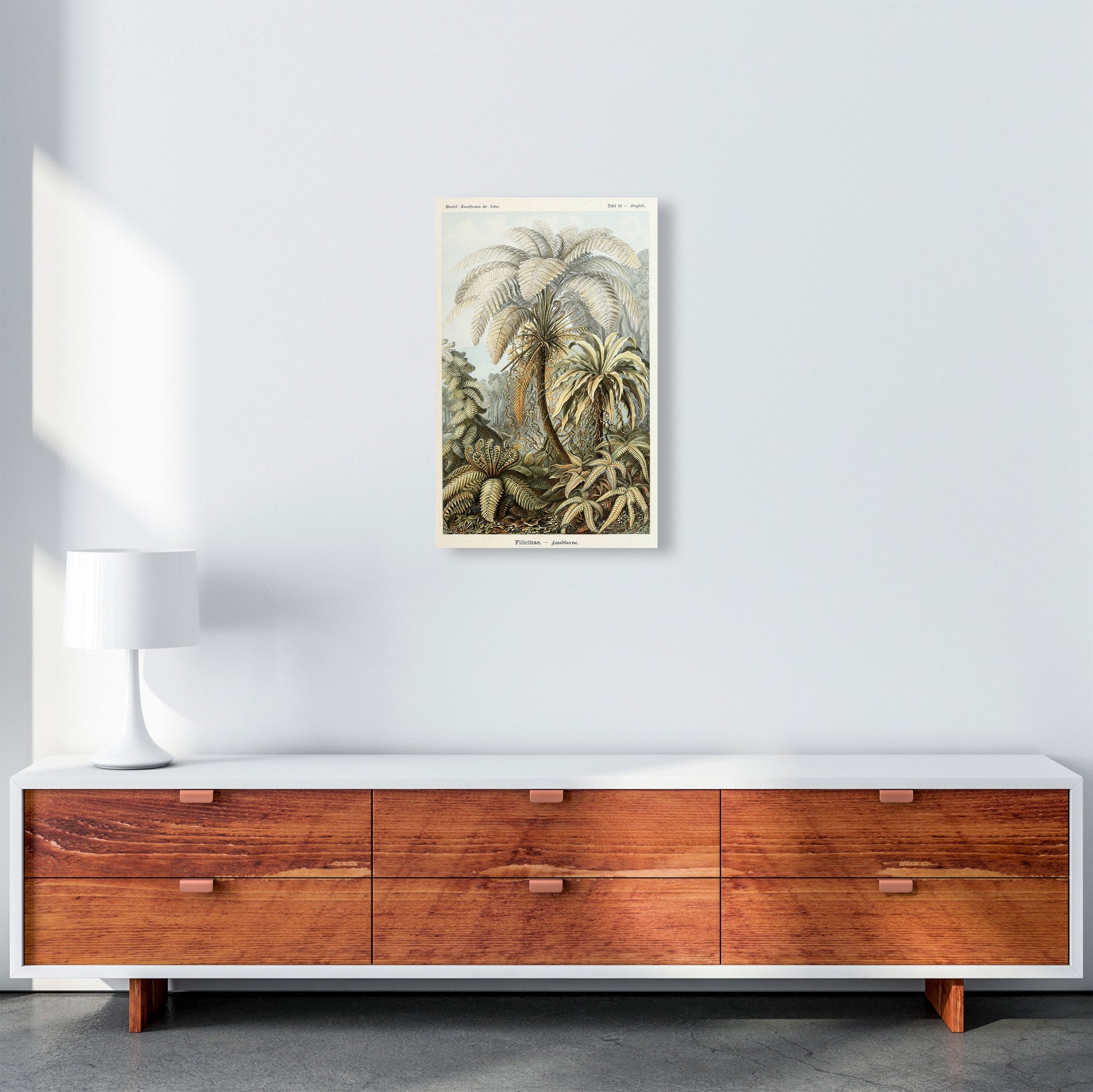 Vintage Jungle Illustration Art Print by Jason Stanley A3 Canvas