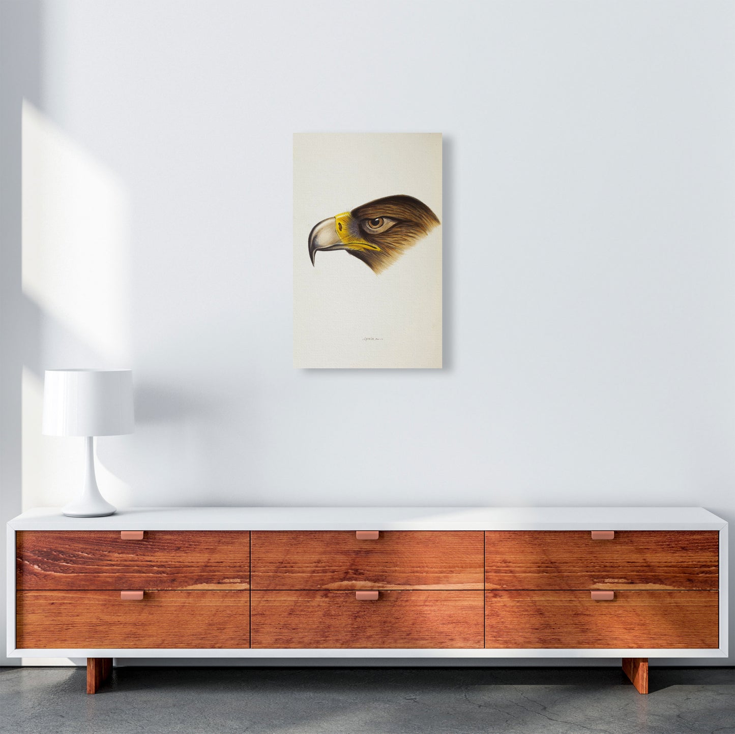 Vintage Eagle Face Art Print by Jason Stanley A3 Canvas