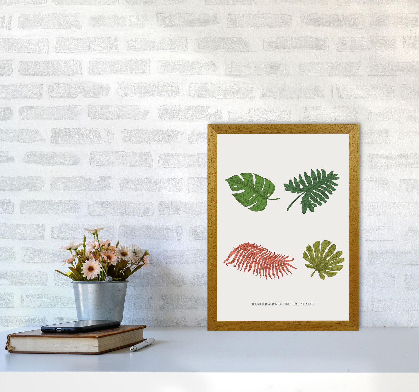 Identification Of Tropical Plants Art Print by Jason Stanley A3 Print Only