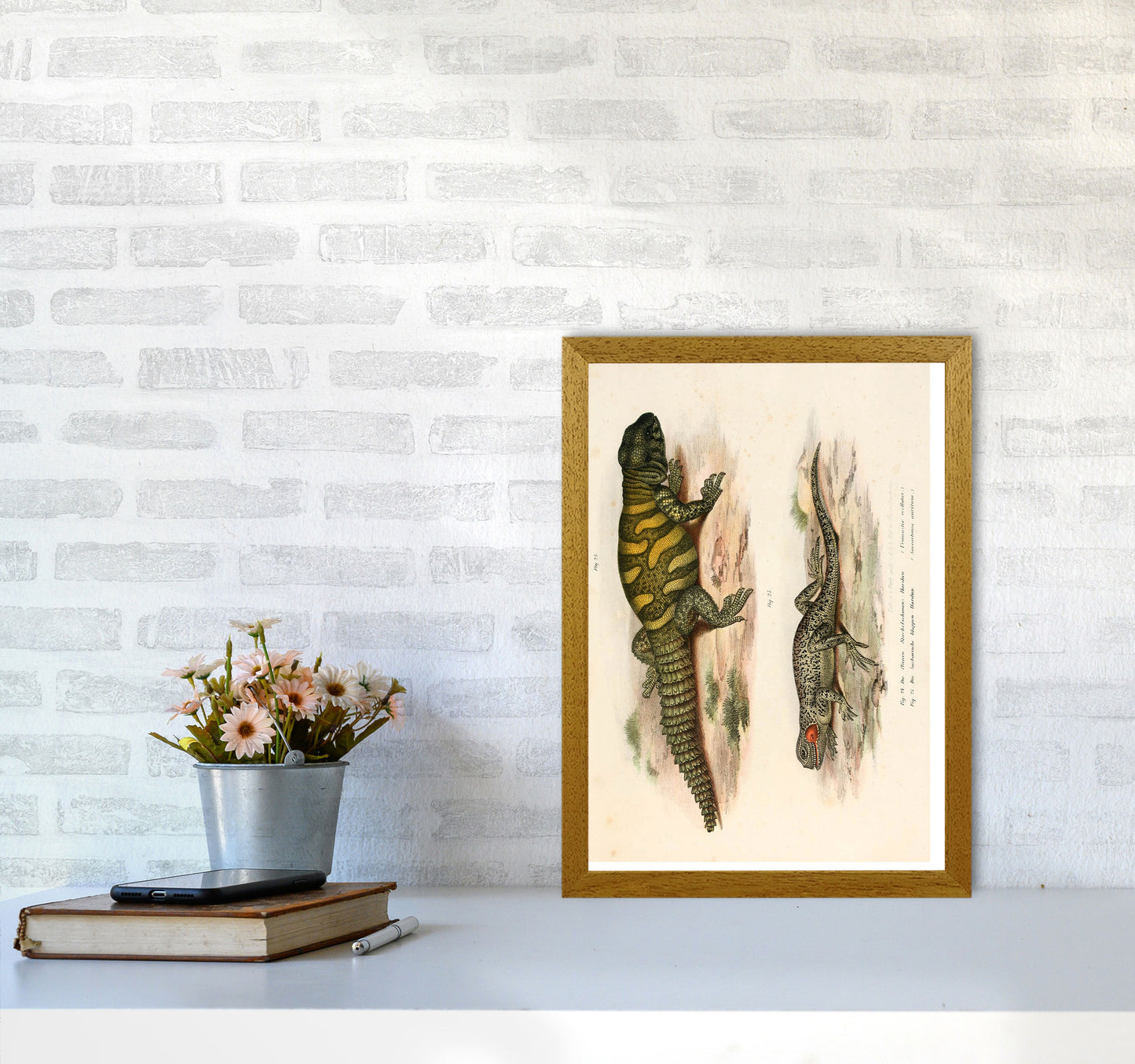 Vintage Lizard Illustration Art Print by Jason Stanley A3 Print Only