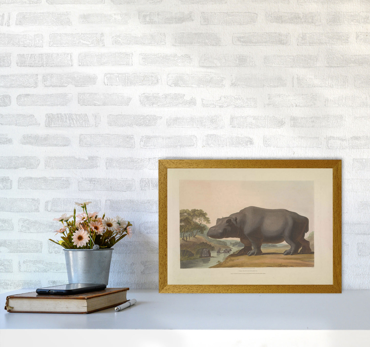 Vintage Hippo Illustration Art Print by Jason Stanley A3 Print Only