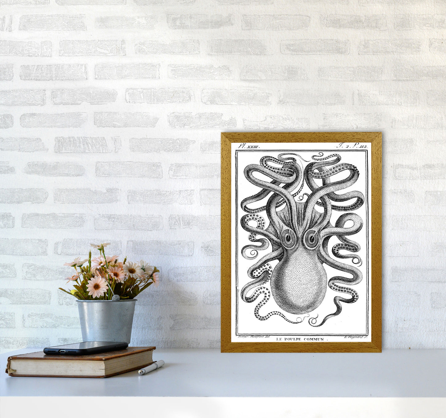 White Vintage Octopus Art Print by Jason Stanley A3 Print Only