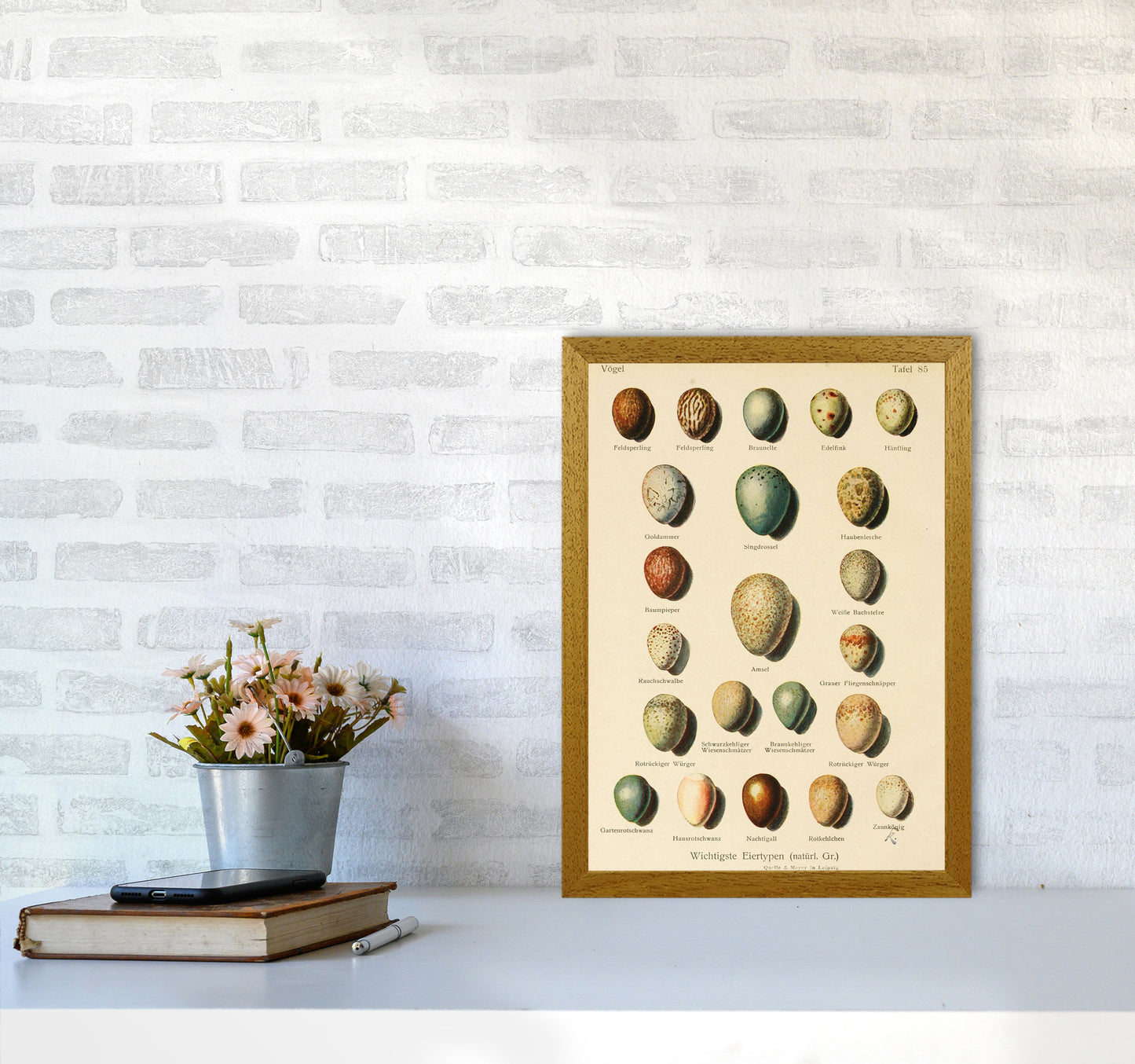 Vintage Set Of Eggs Art Print by Jason Stanley A3 Print Only
