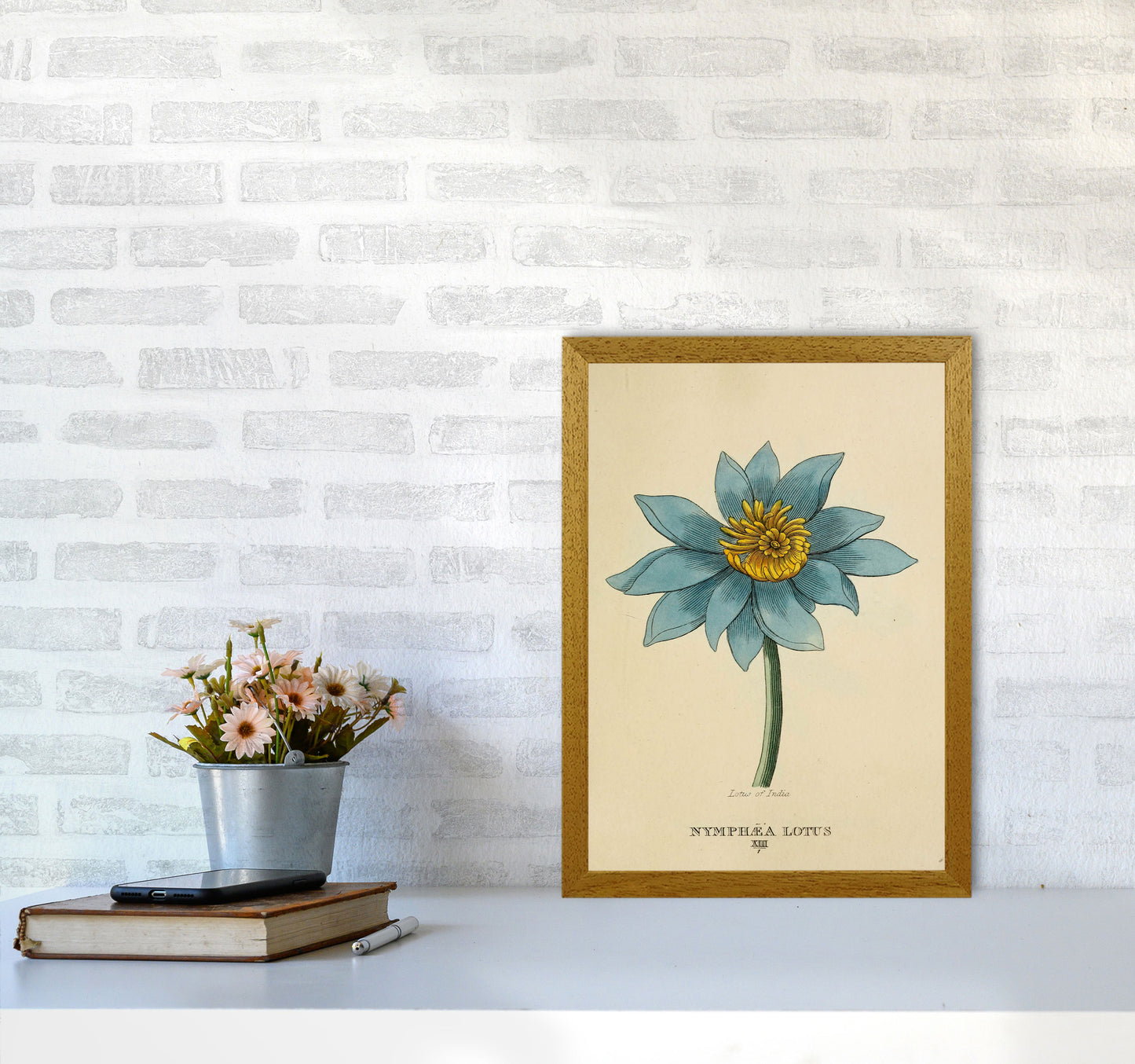 Vintage Lotus Flower Art Print by Jason Stanley A3 Print Only