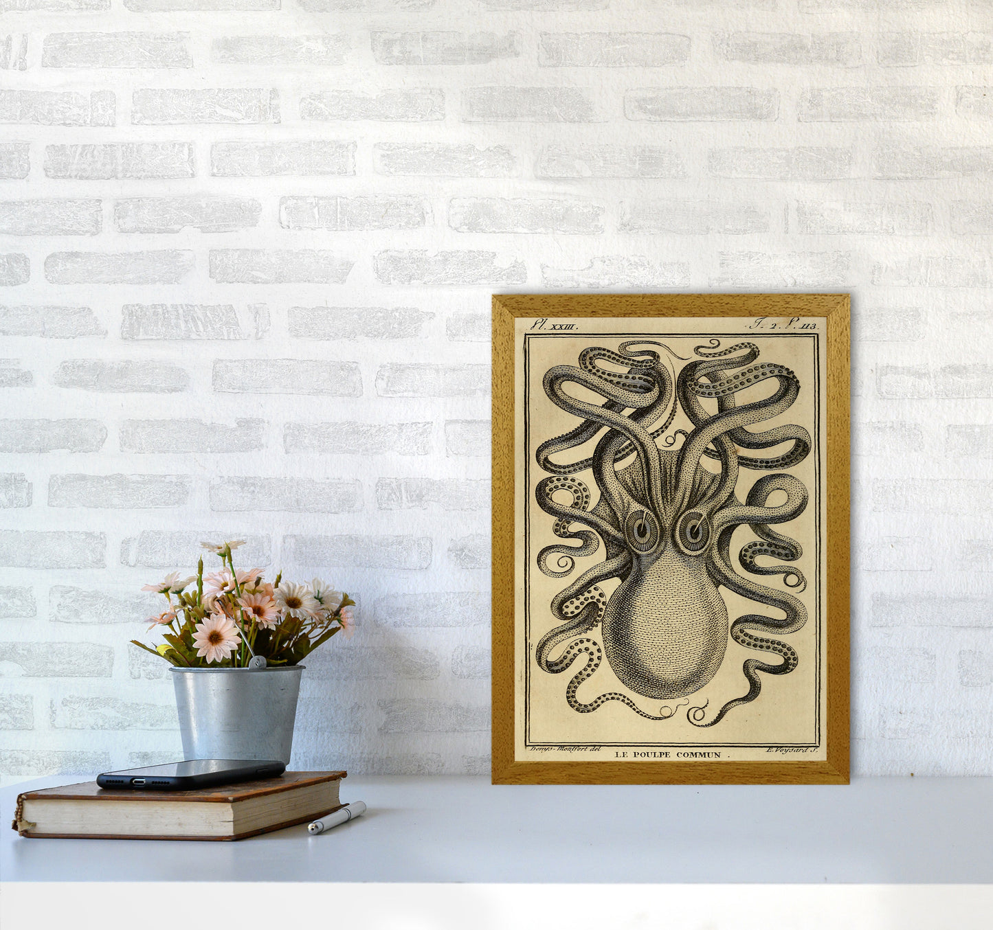 Vintage Octopus 2 Art Print by Jason Stanley A3 Print Only