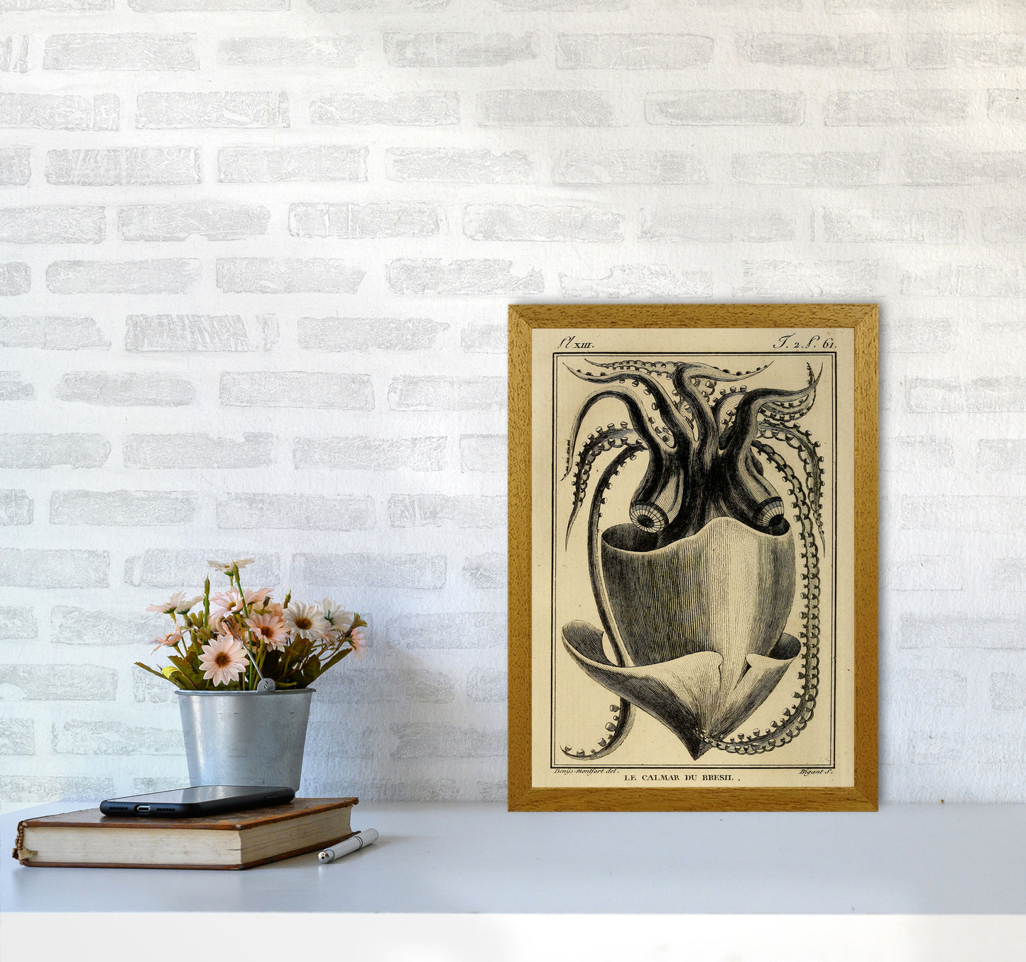 Vintage Squid Art Print by Jason Stanley A3 Print Only