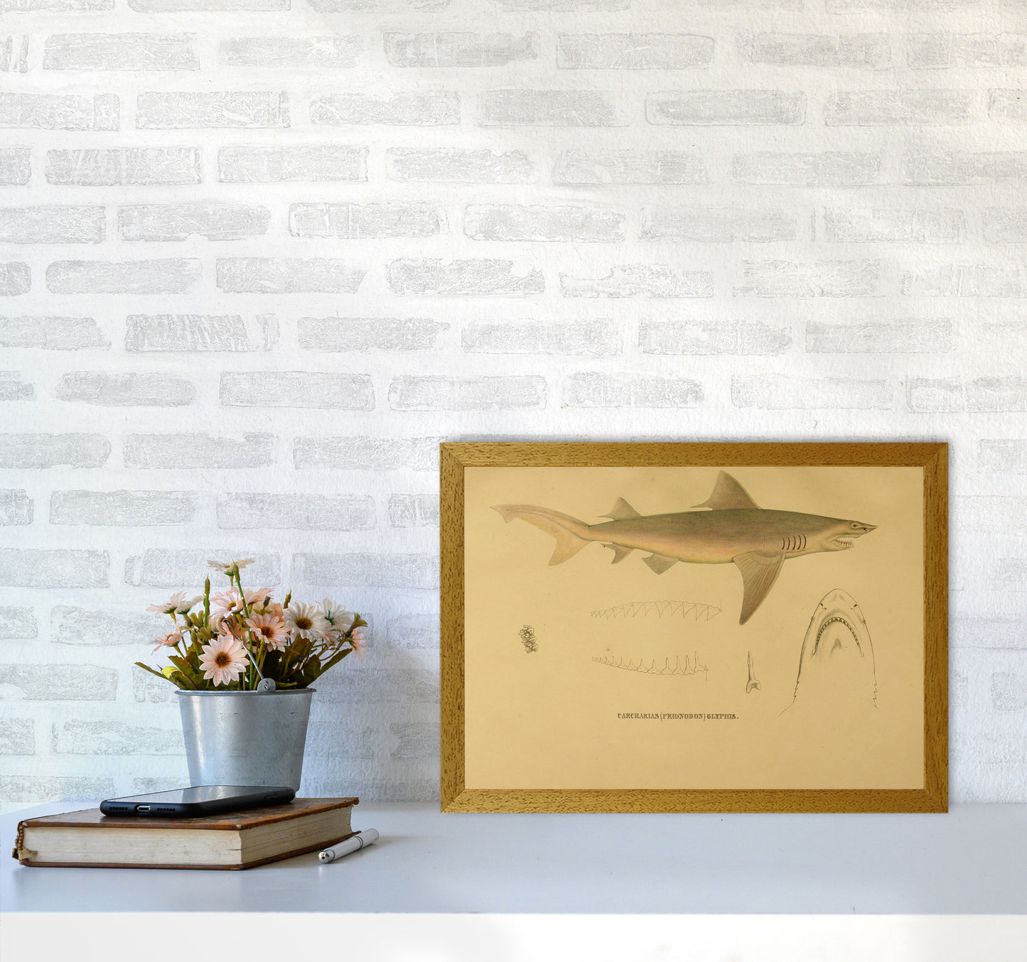 Shark Series 3 Art Print by Jason Stanley A3 Print Only