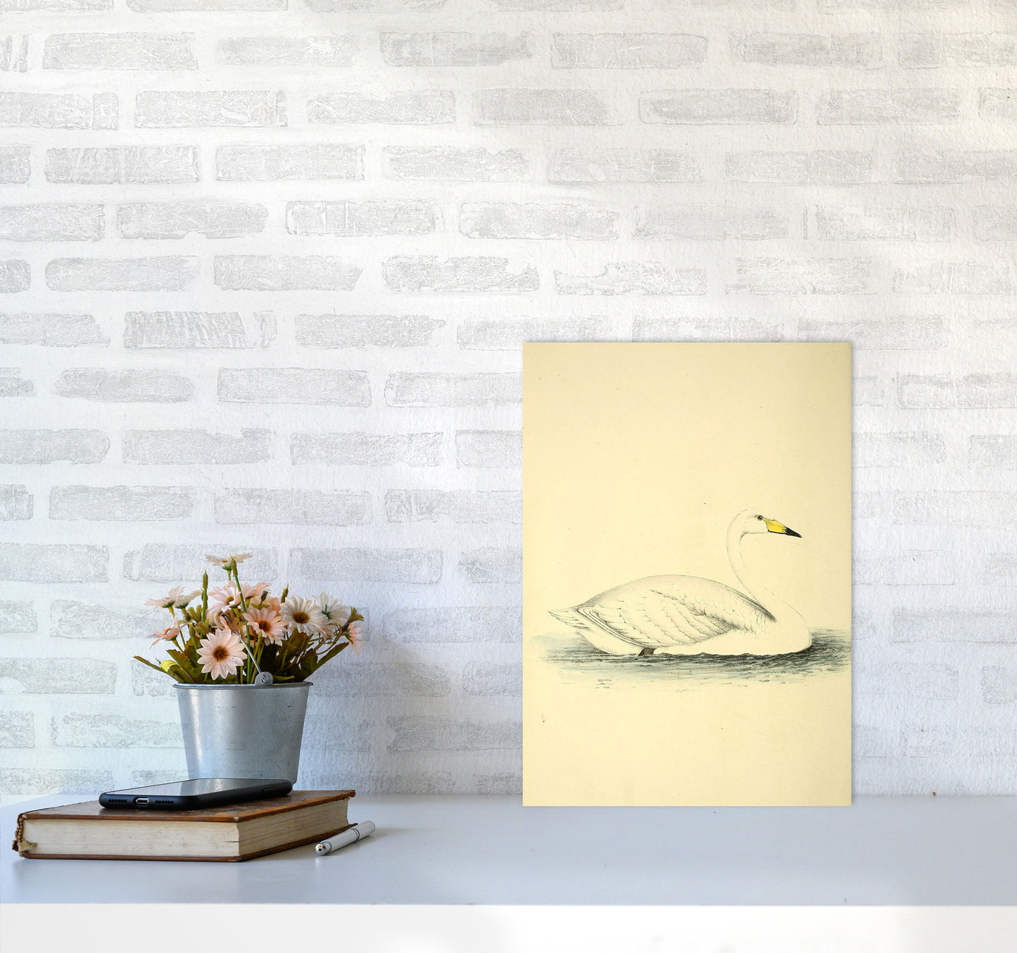 Vintage Swan Art Print by Jason Stanley A3 Black Frame