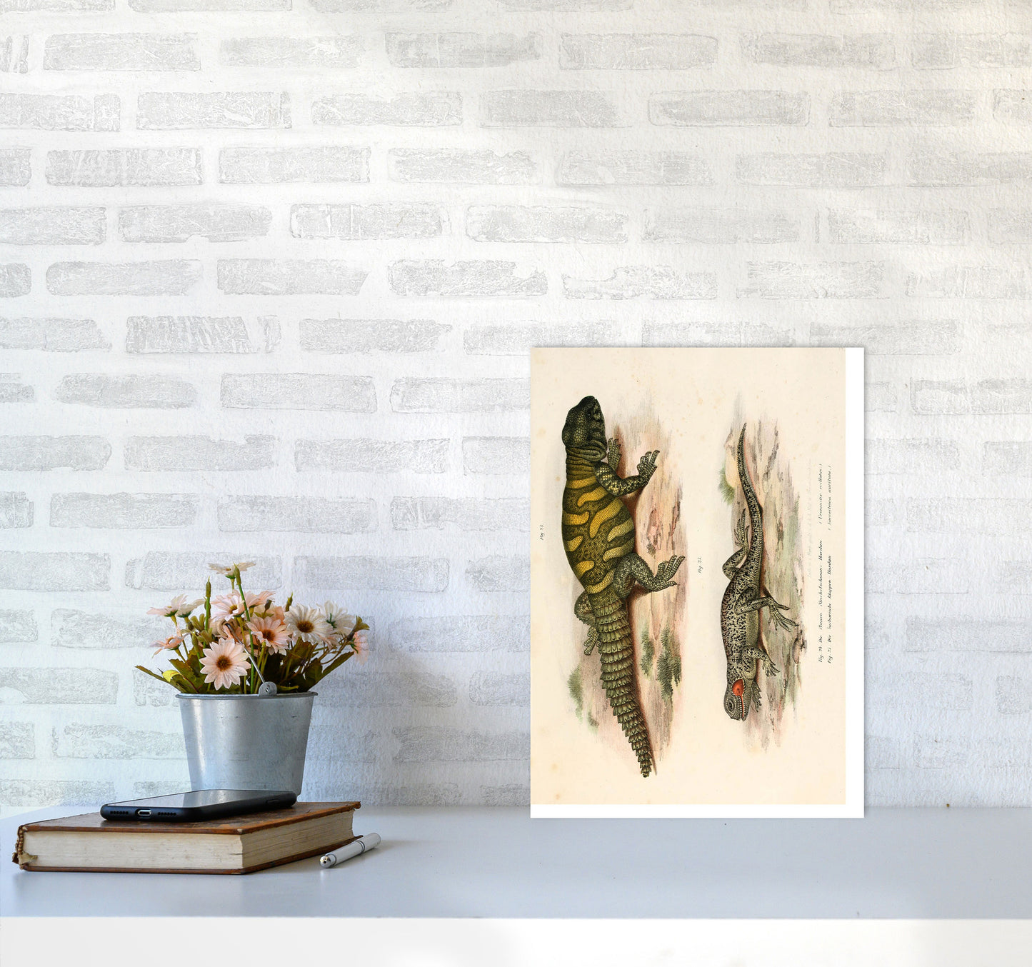 Vintage Lizard Illustration Art Print by Jason Stanley A3 Black Frame