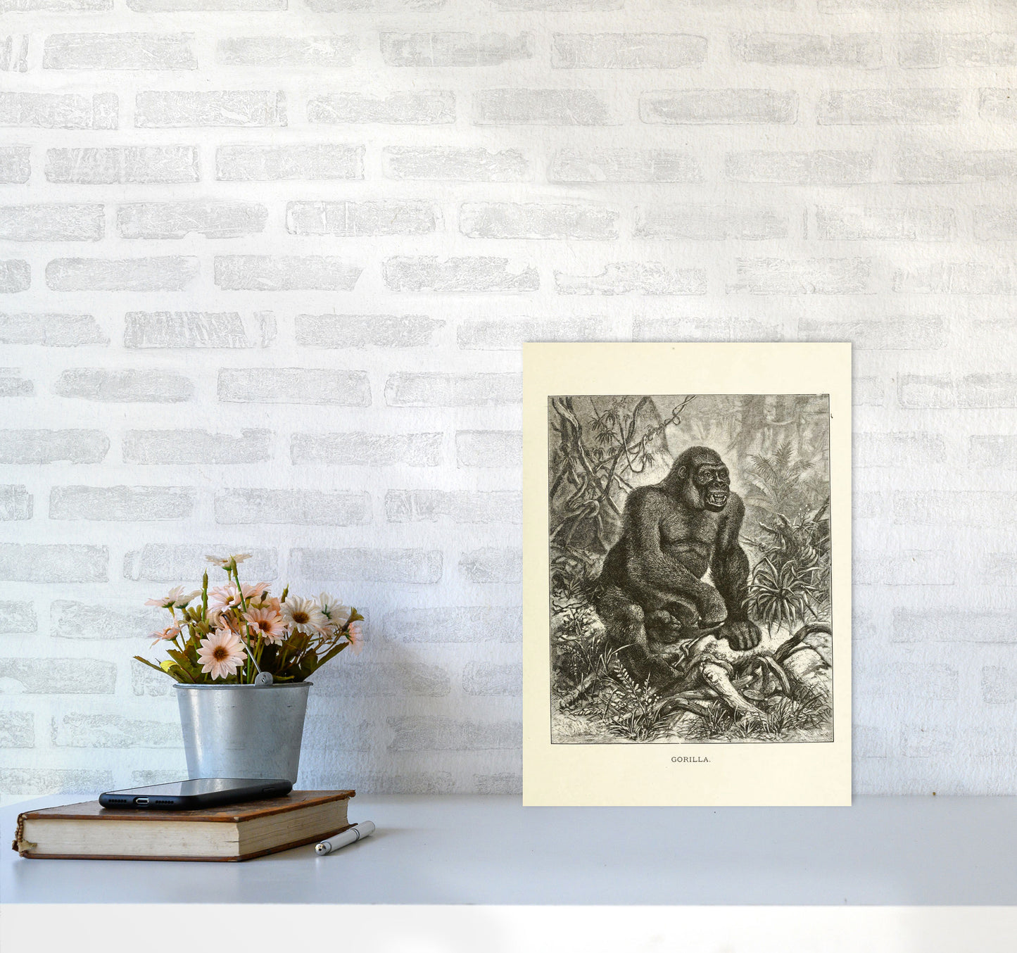 The Other King Of The Jungle Art Print by Jason Stanley A3 Black Frame