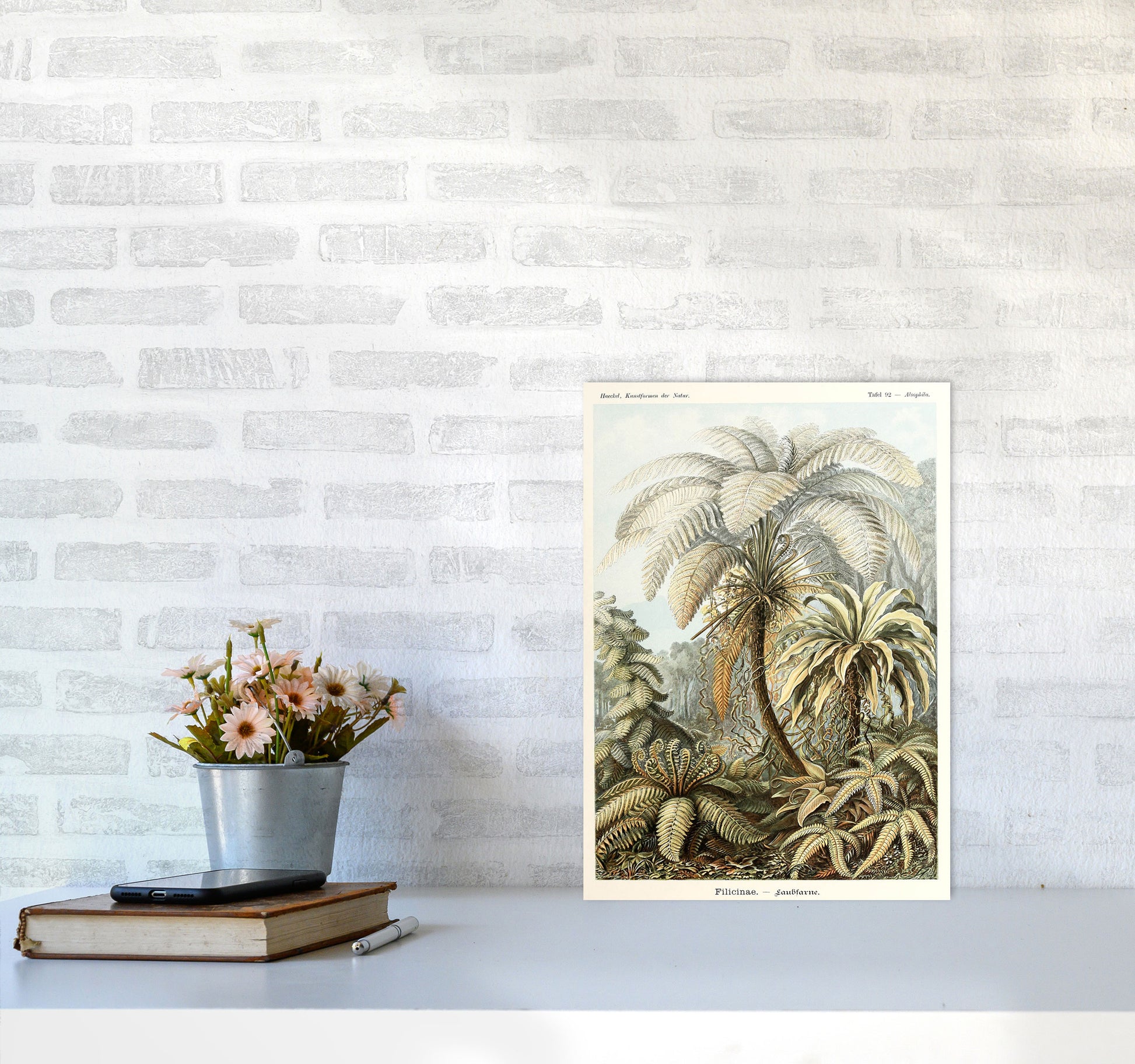 Vintage Jungle Illustration Art Print by Jason Stanley A3 Black Frame