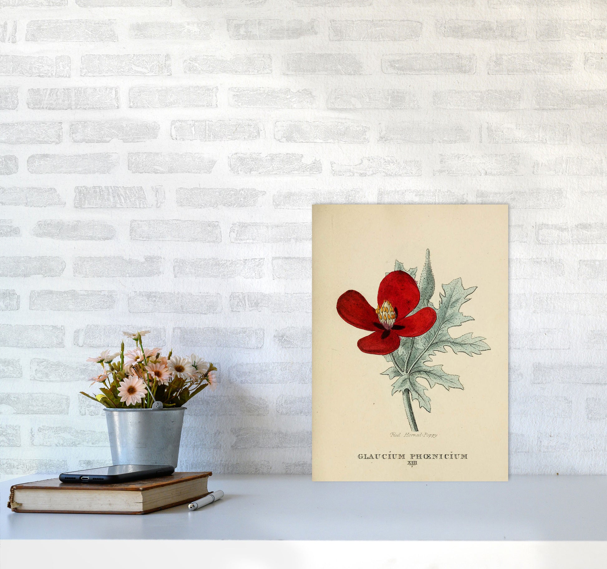 Vintage Flower Series 2 Art Print by Jason Stanley A3 Black Frame