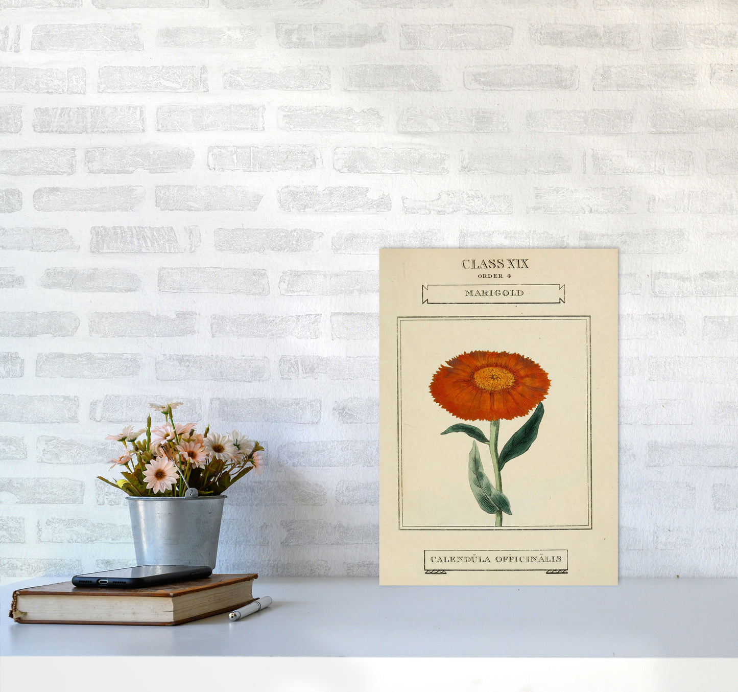 Vintage Flower Series 9 Art Print by Jason Stanley A3 Black Frame