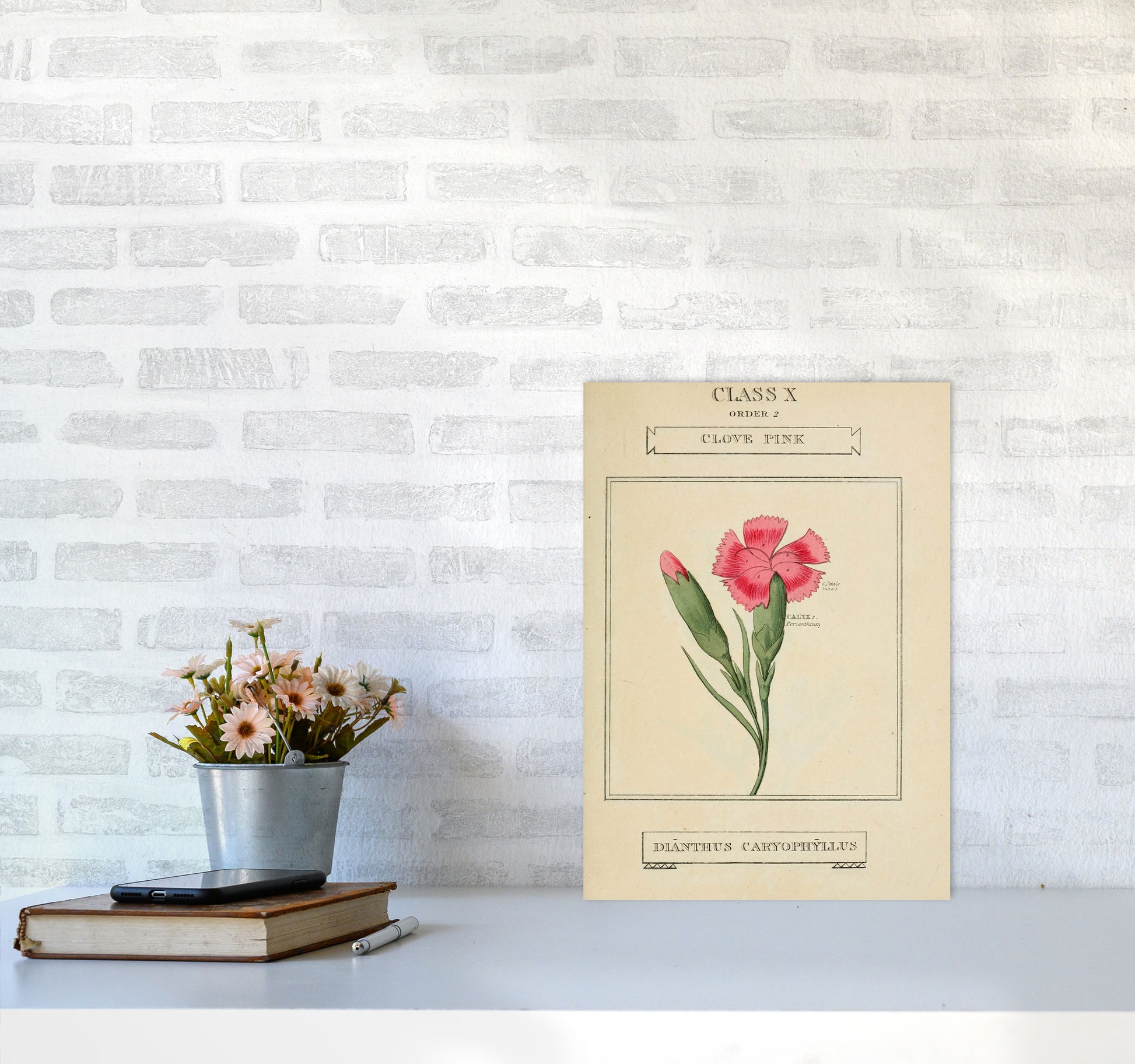 Vintage Flower Series 4 Art Print by Jason Stanley A3 Black Frame