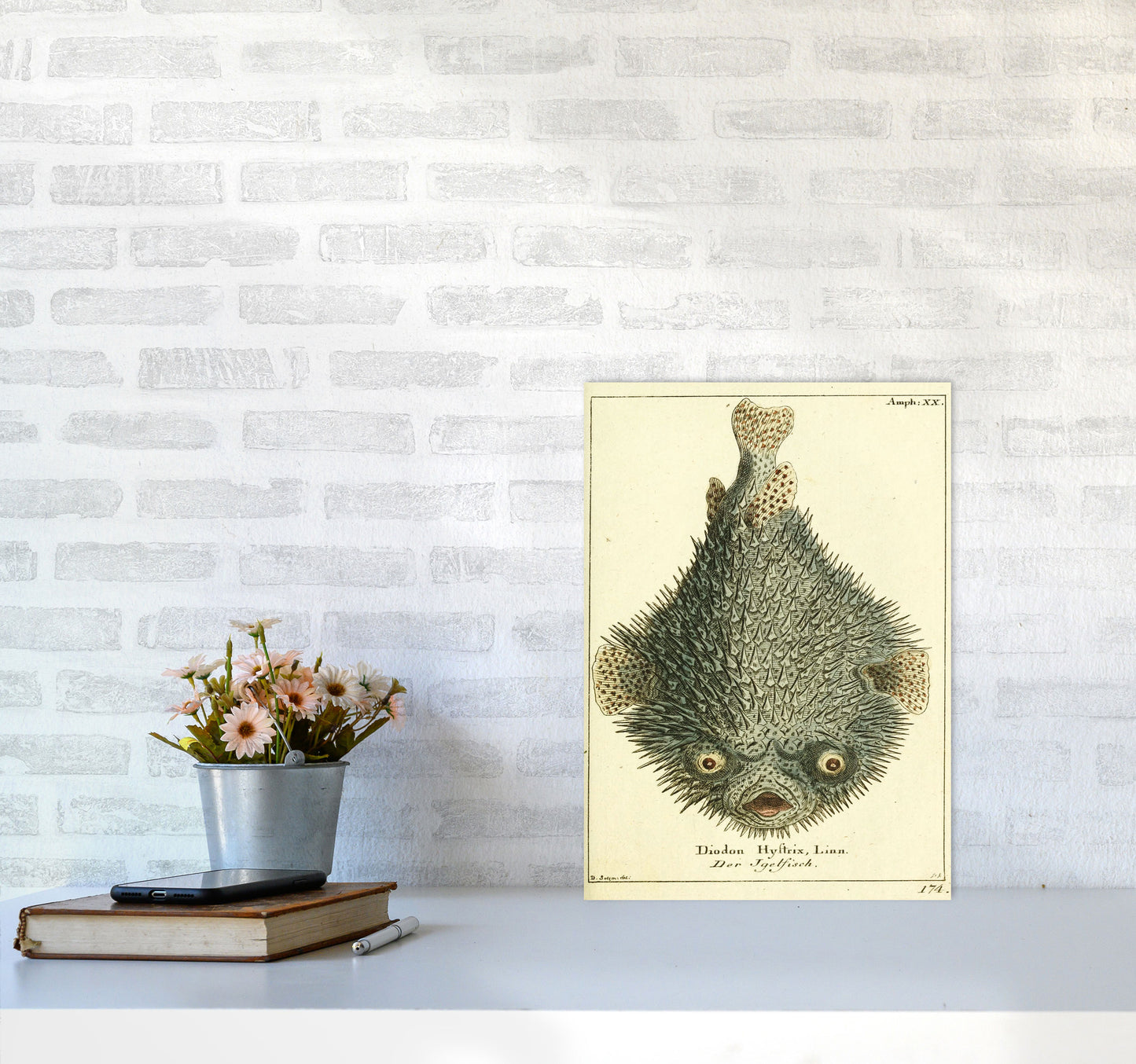 Vintage Japanese Fish Art Print by Jason Stanley A3 Black Frame