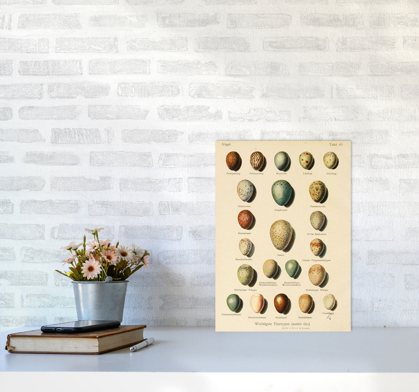 Vintage Set Of Eggs Art Print by Jason Stanley A3 Black Frame