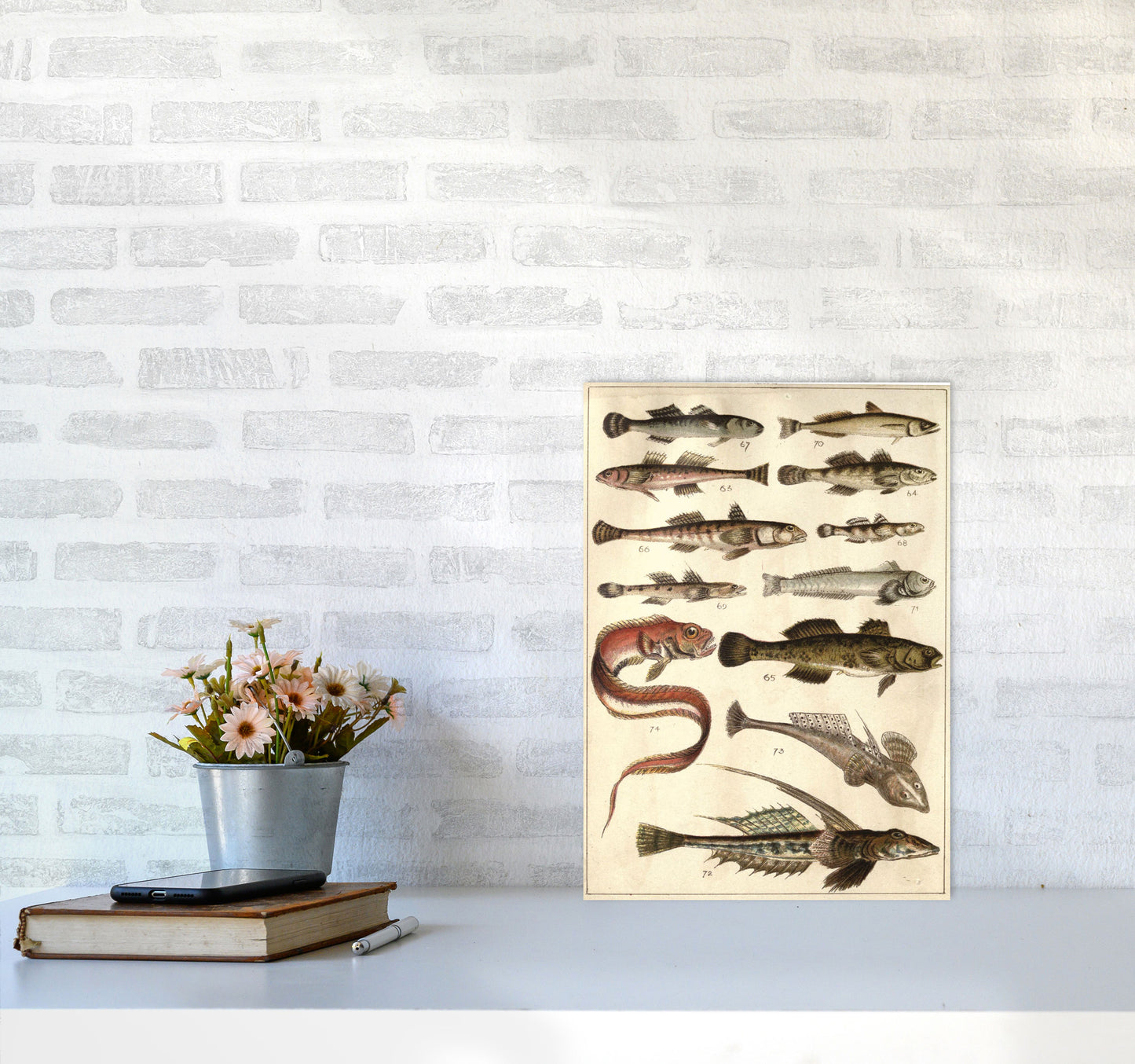 Creatures Of The Sea Art Print by Jason Stanley A3 Black Frame