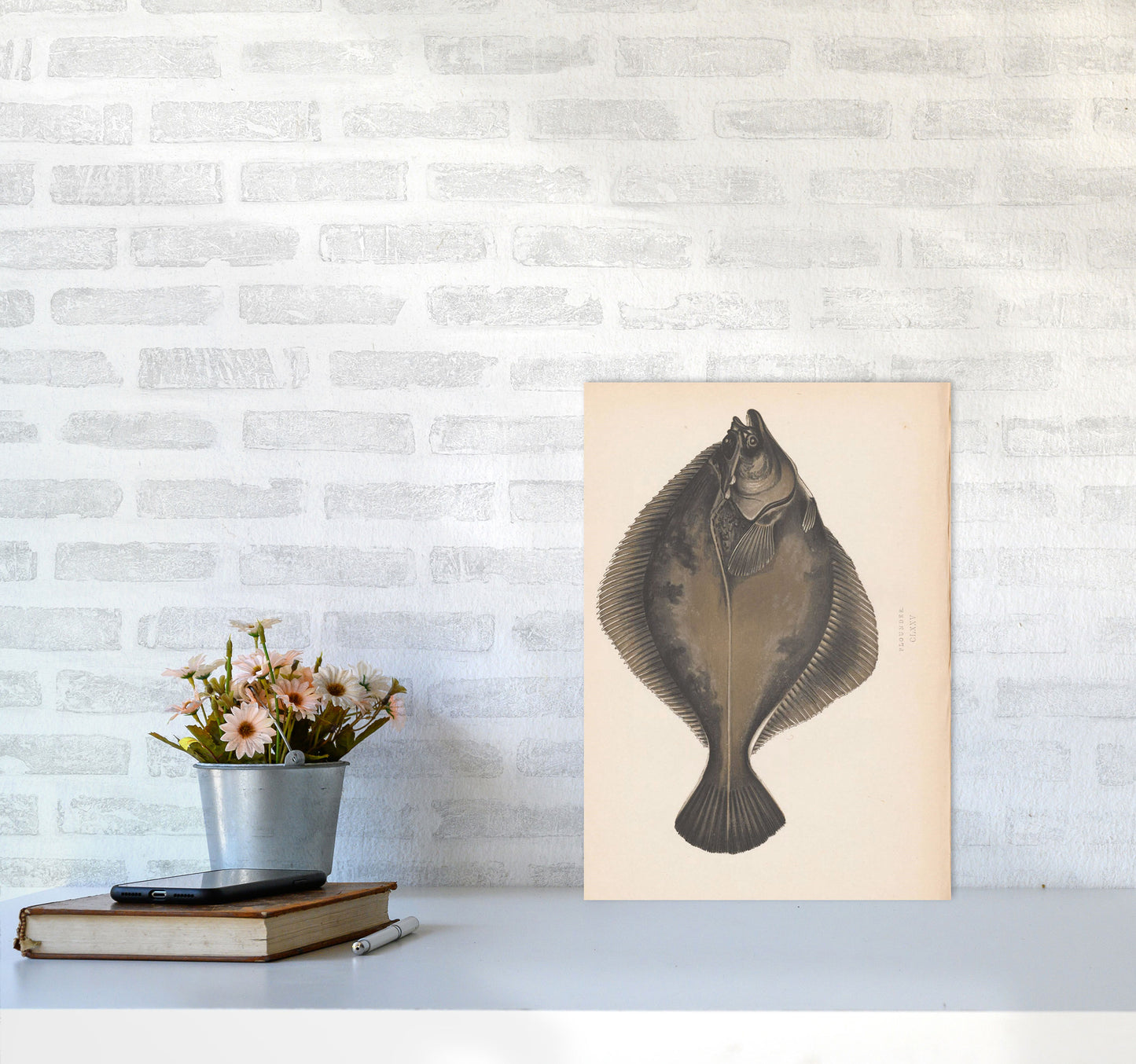 Vintage Flounder Art Print by Jason Stanley A3 Black Frame