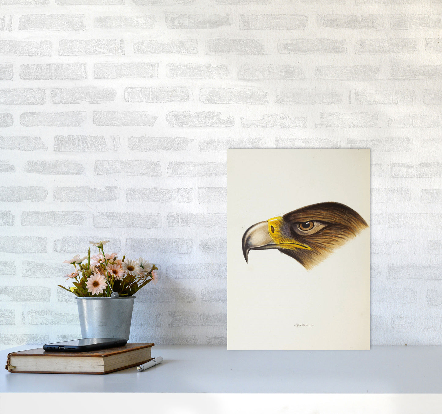 Vintage Eagle Face Art Print by Jason Stanley A3 Black Frame