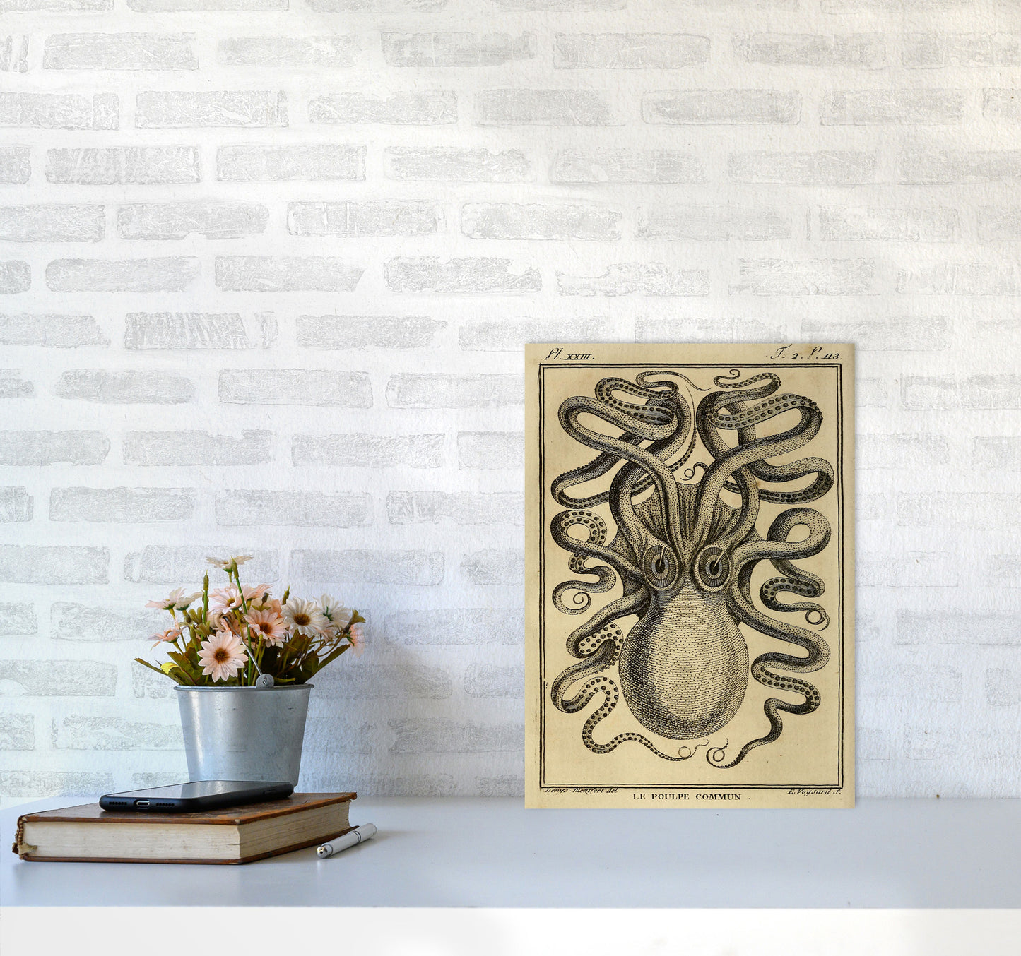 Vintage Octopus 2 Art Print by Jason Stanley A3 Black Frame