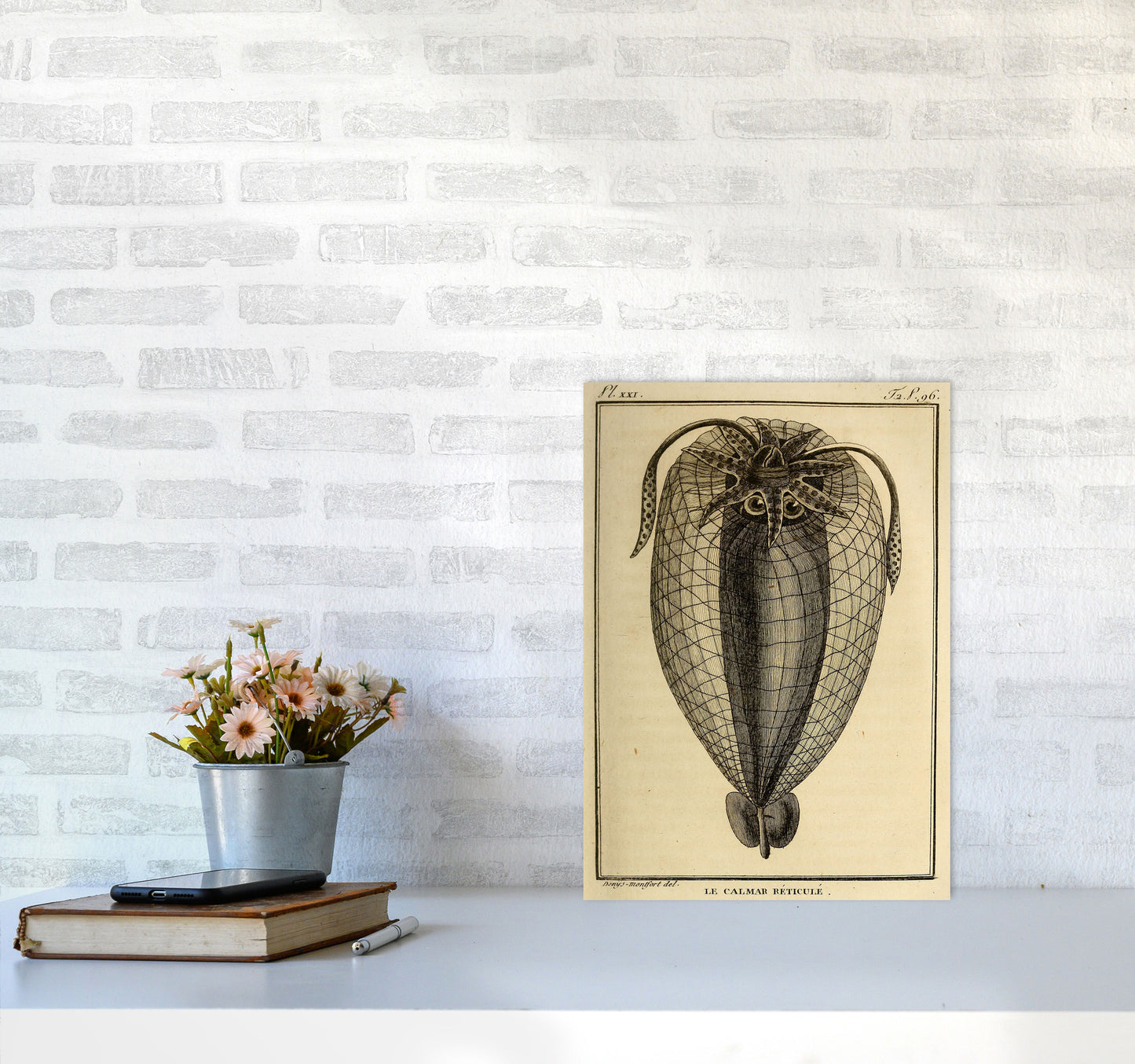 Vintage Squid 4 Art Print by Jason Stanley A3 Black Frame