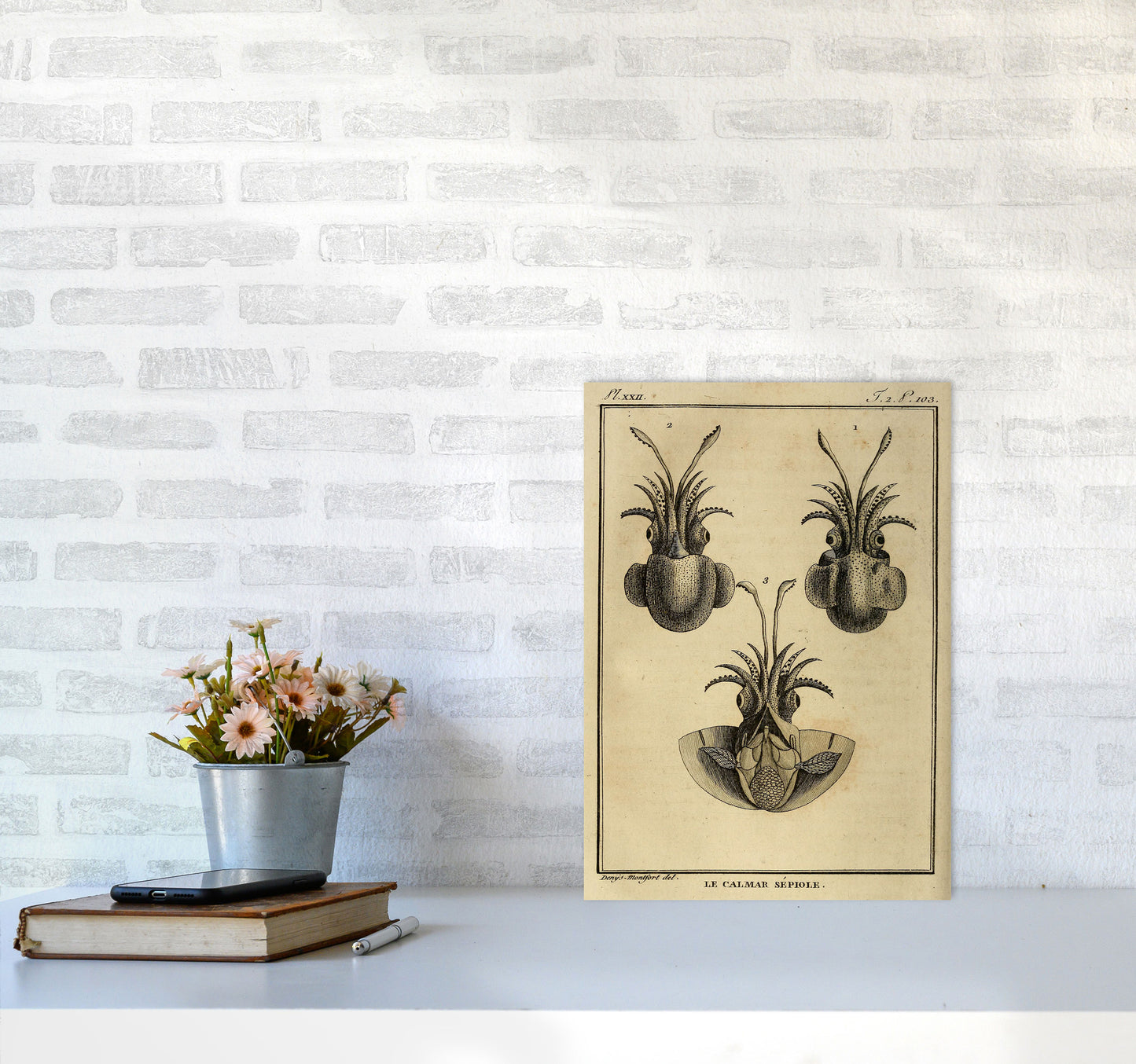 Vintage Squid 3 Art Print by Jason Stanley A3 Black Frame